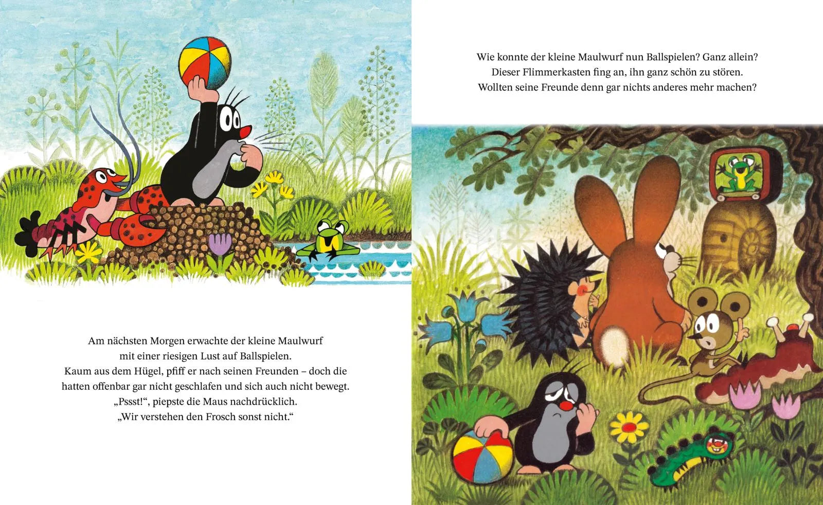 Produktansicht: Der kleine Maulwurf und der Fernseher (Gebundene Ausgabe)