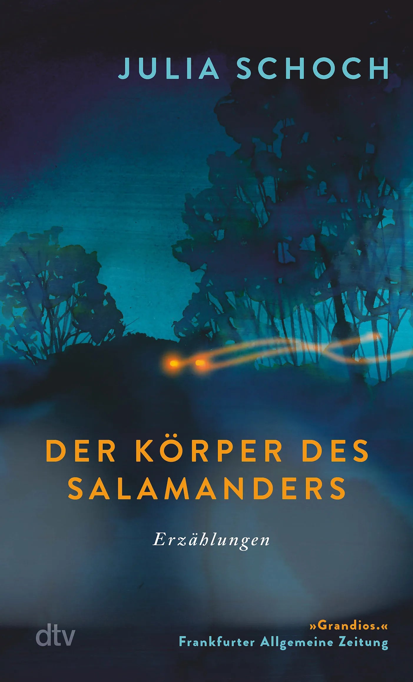 Buchcover von 'Der Körper des Salamanders' - Taschenbuch von Julia Schoch