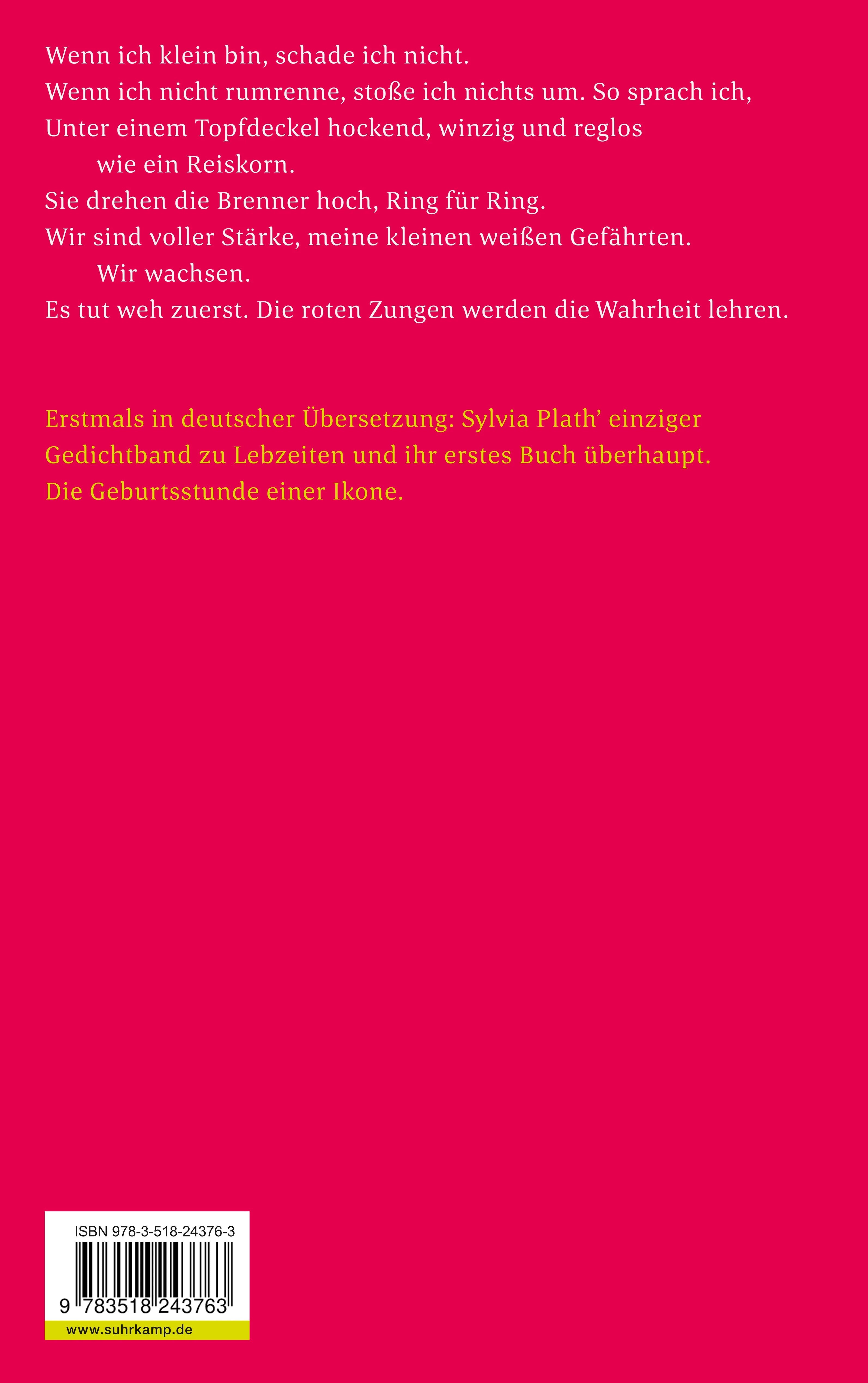Buchrückseite von 'Der Koloss' mit Klappentext - Taschenbuch
