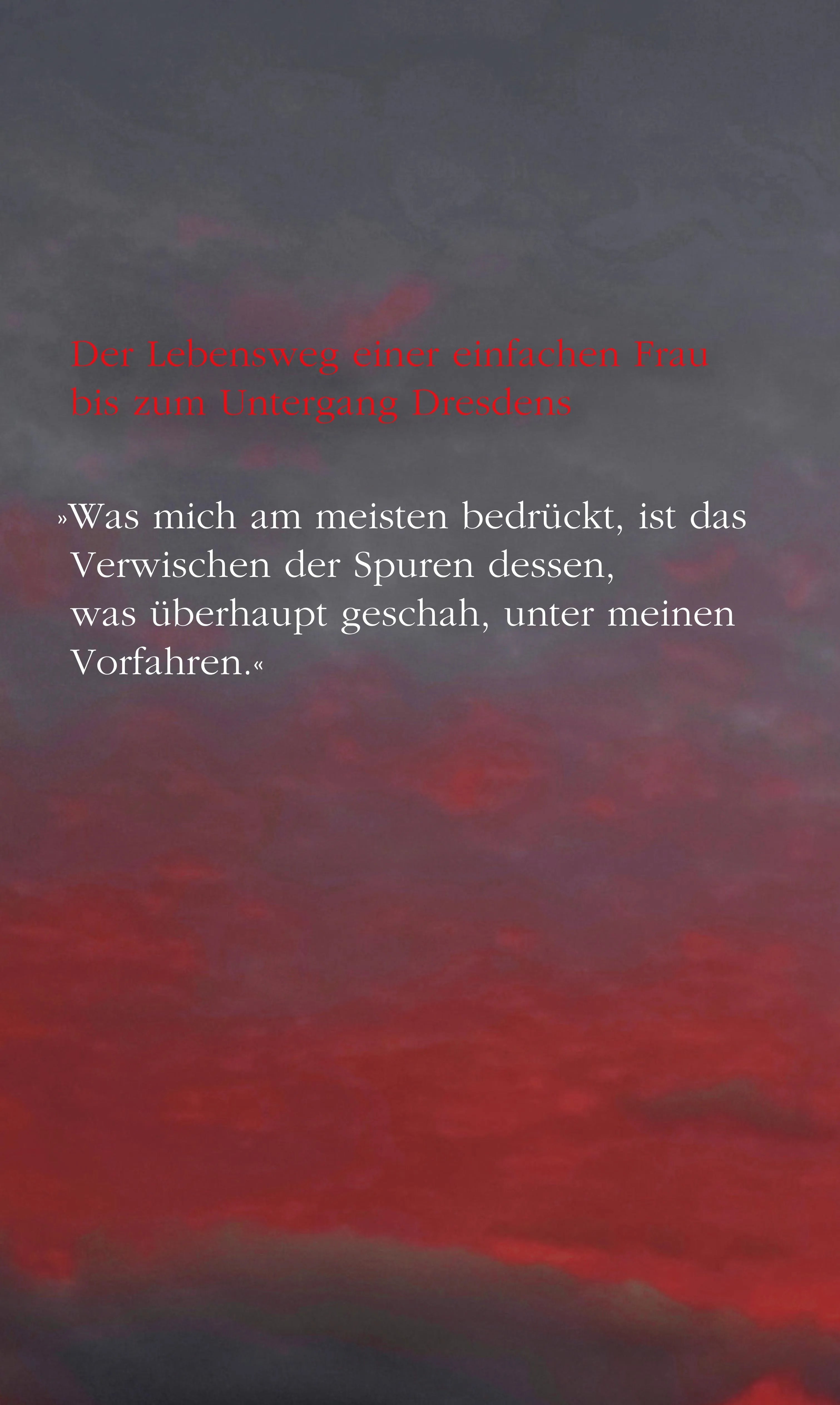 Buchrückseite von 'Der Komet' mit Klappentext - Gebundene Ausgabe