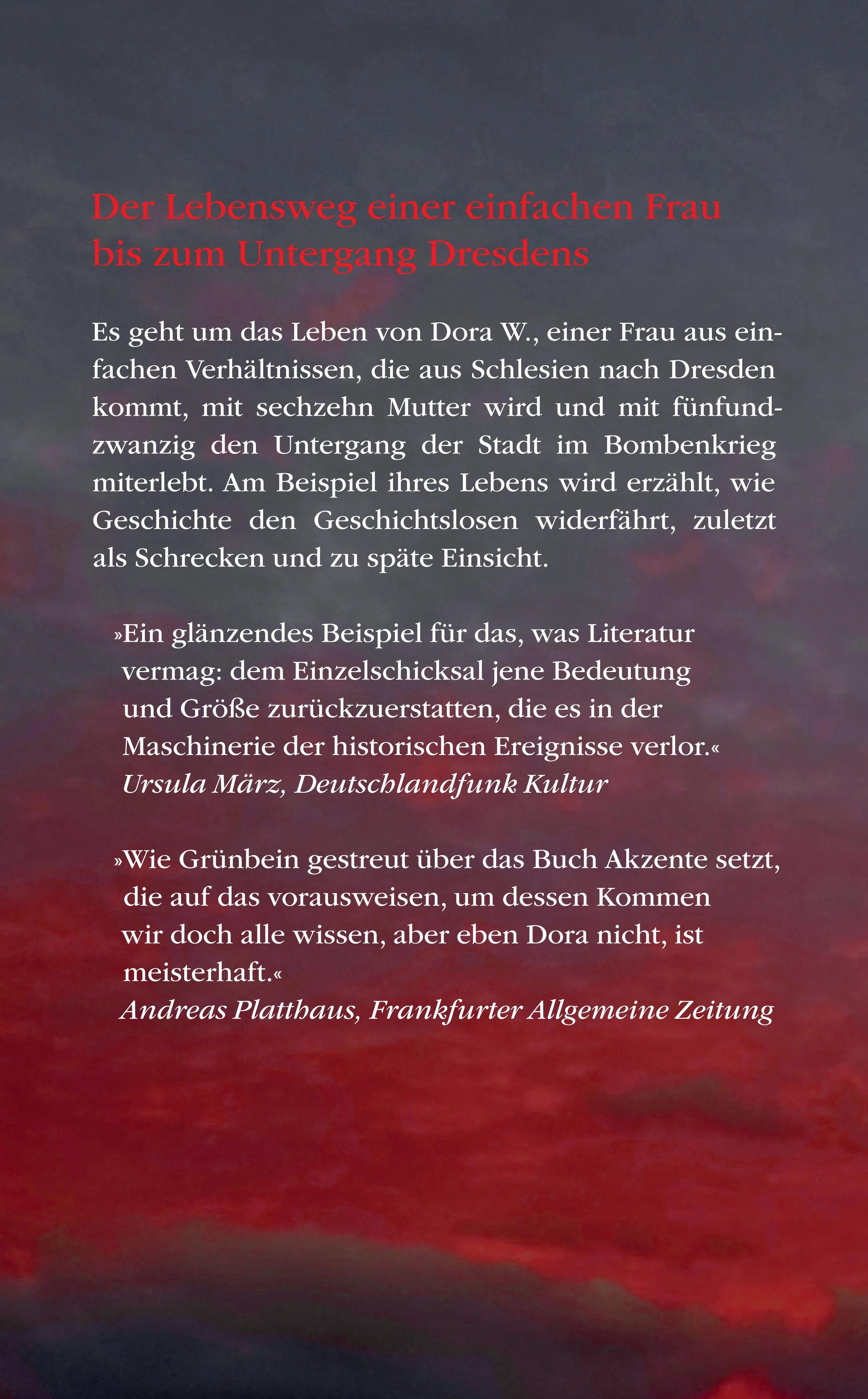 Buchrückseite von 'Der Komet' mit Klappentext - Taschenbuch