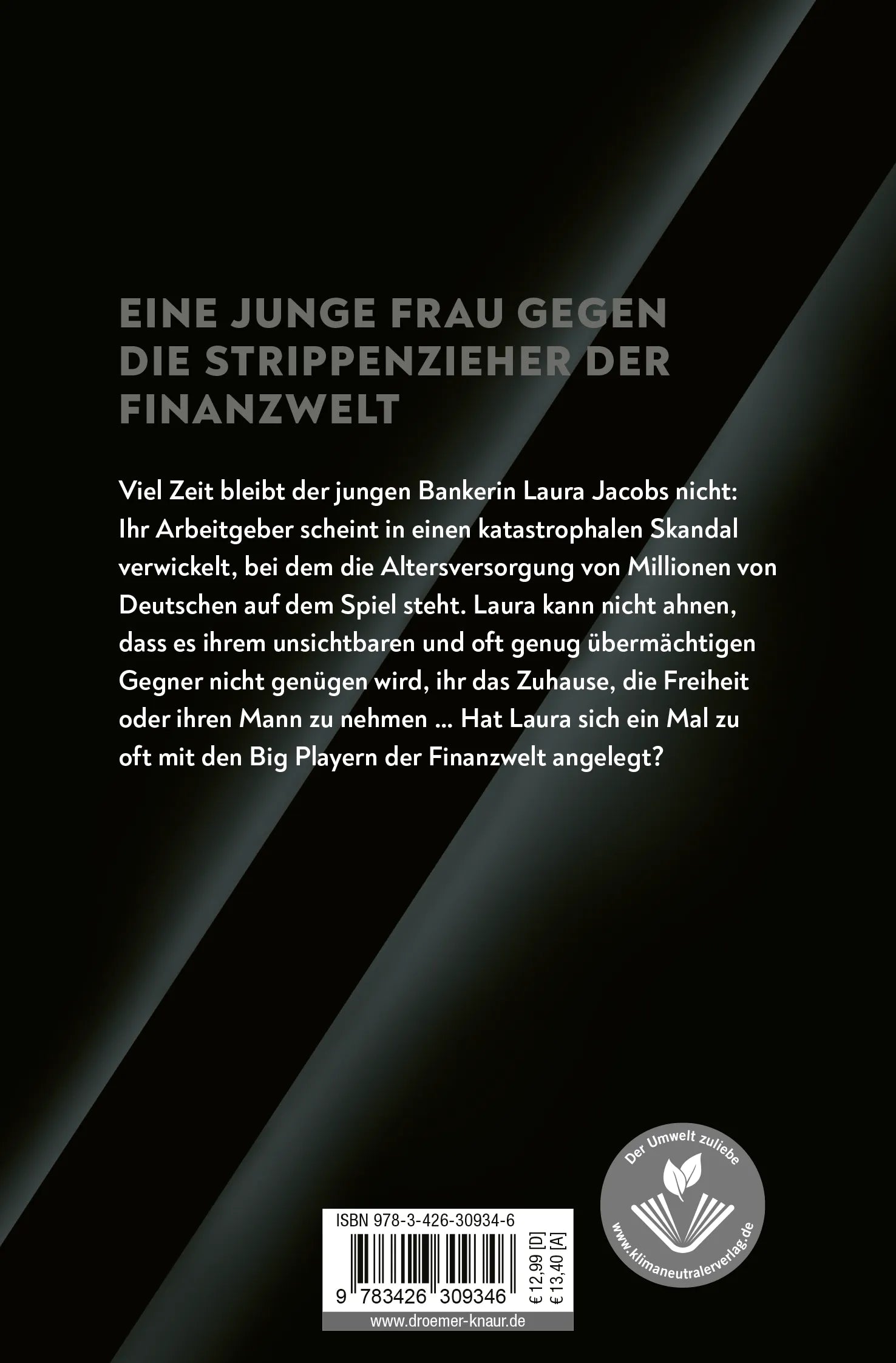 Buchrückseite von 'Der Konzern' mit Klappentext - Taschenbuch