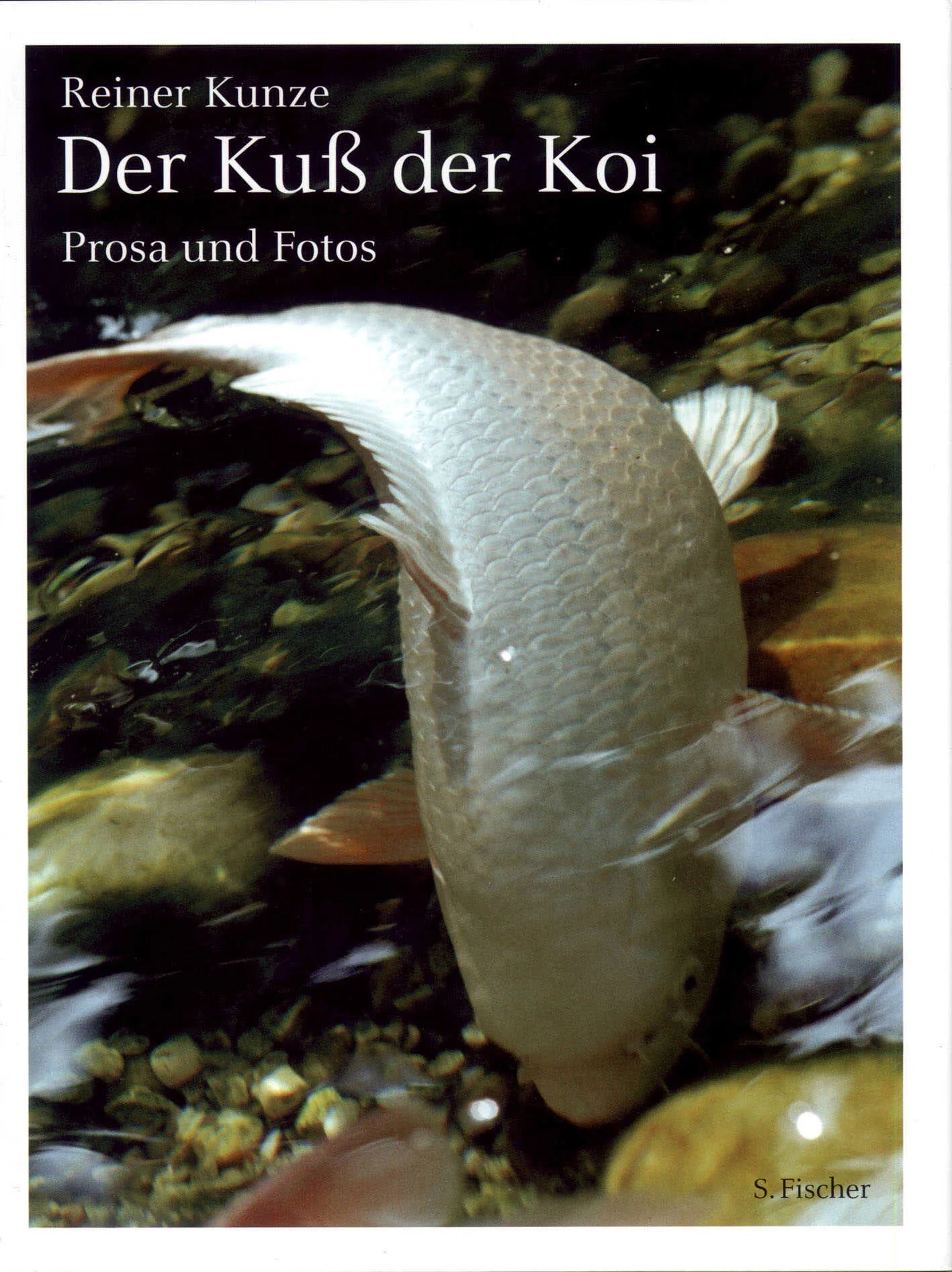 Buchcover von 'Der Kuß der Koi' - Gebundene Ausgabe von Reiner Kunze