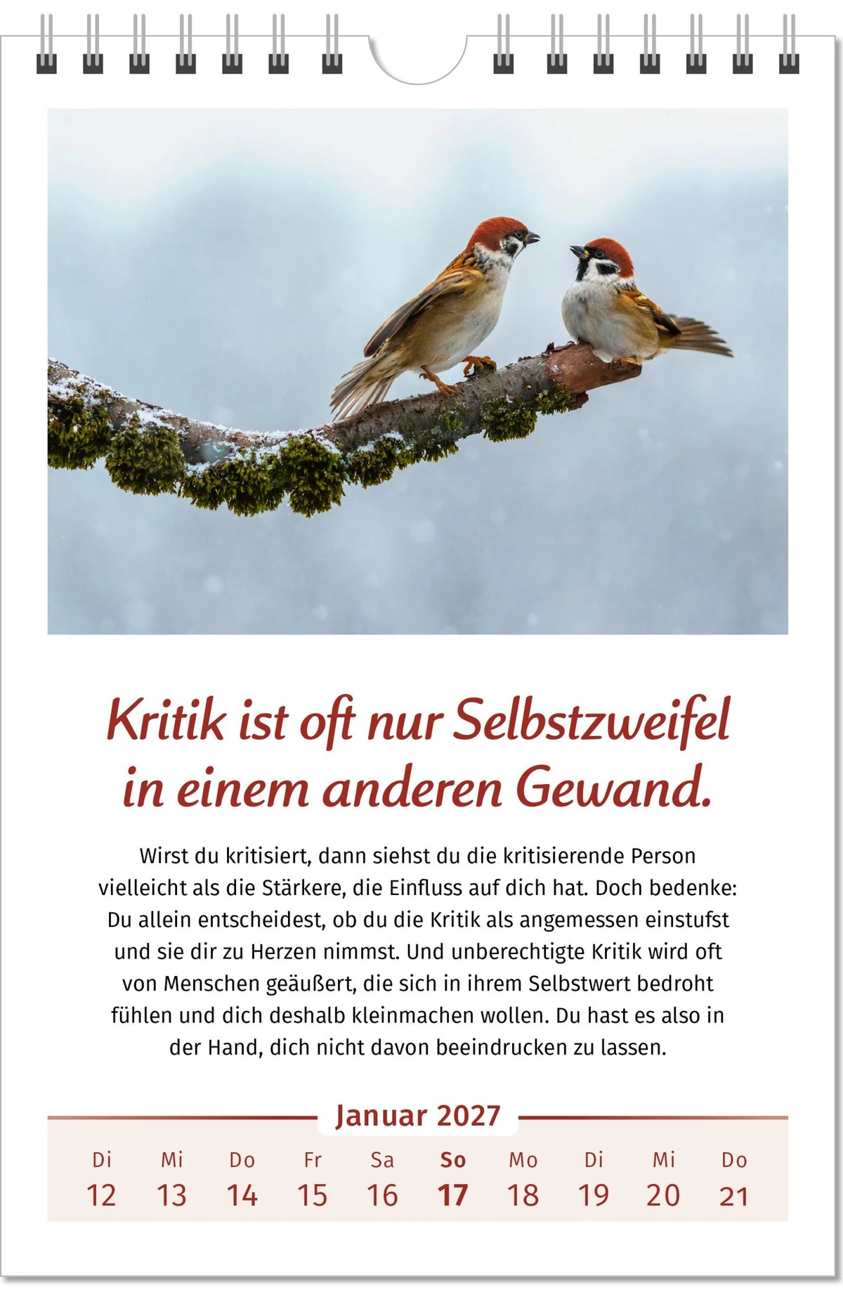 Der Lebensfreude-Kalender 2027 im Großformat – Ansicht