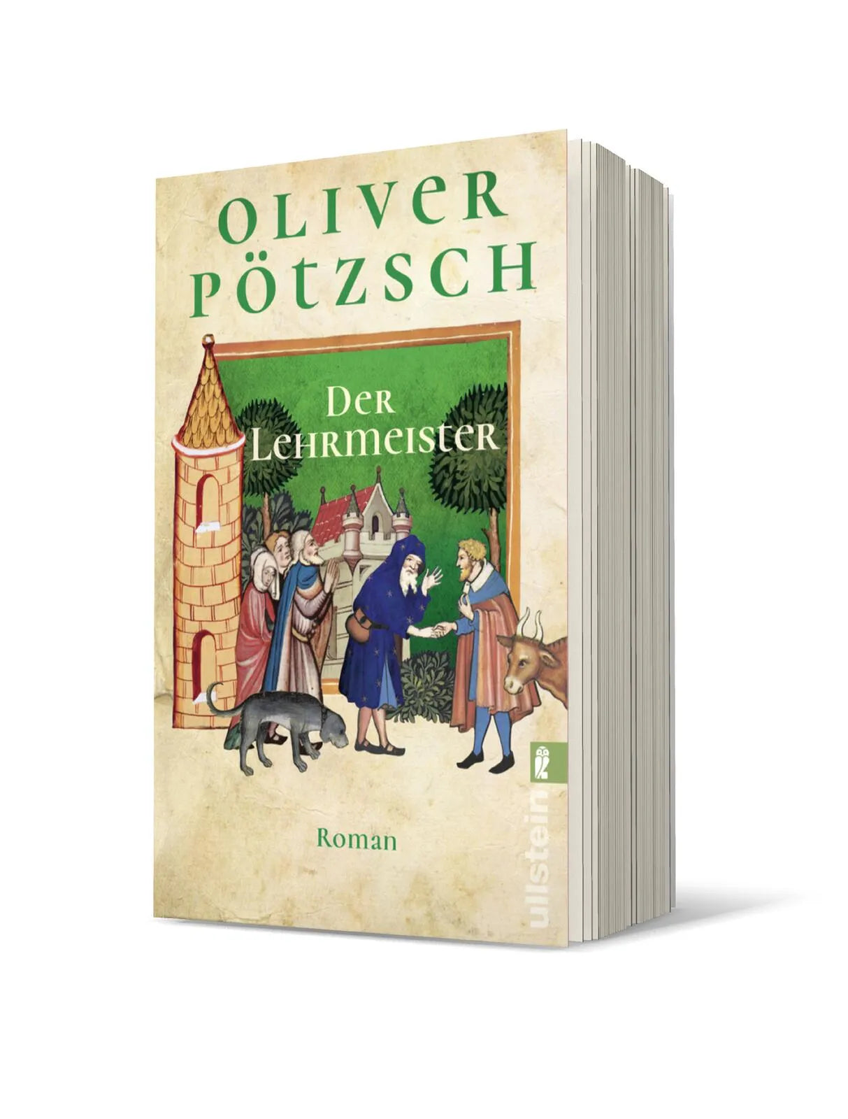 Produktansicht: Der Lehrmeister (Taschenbuch)