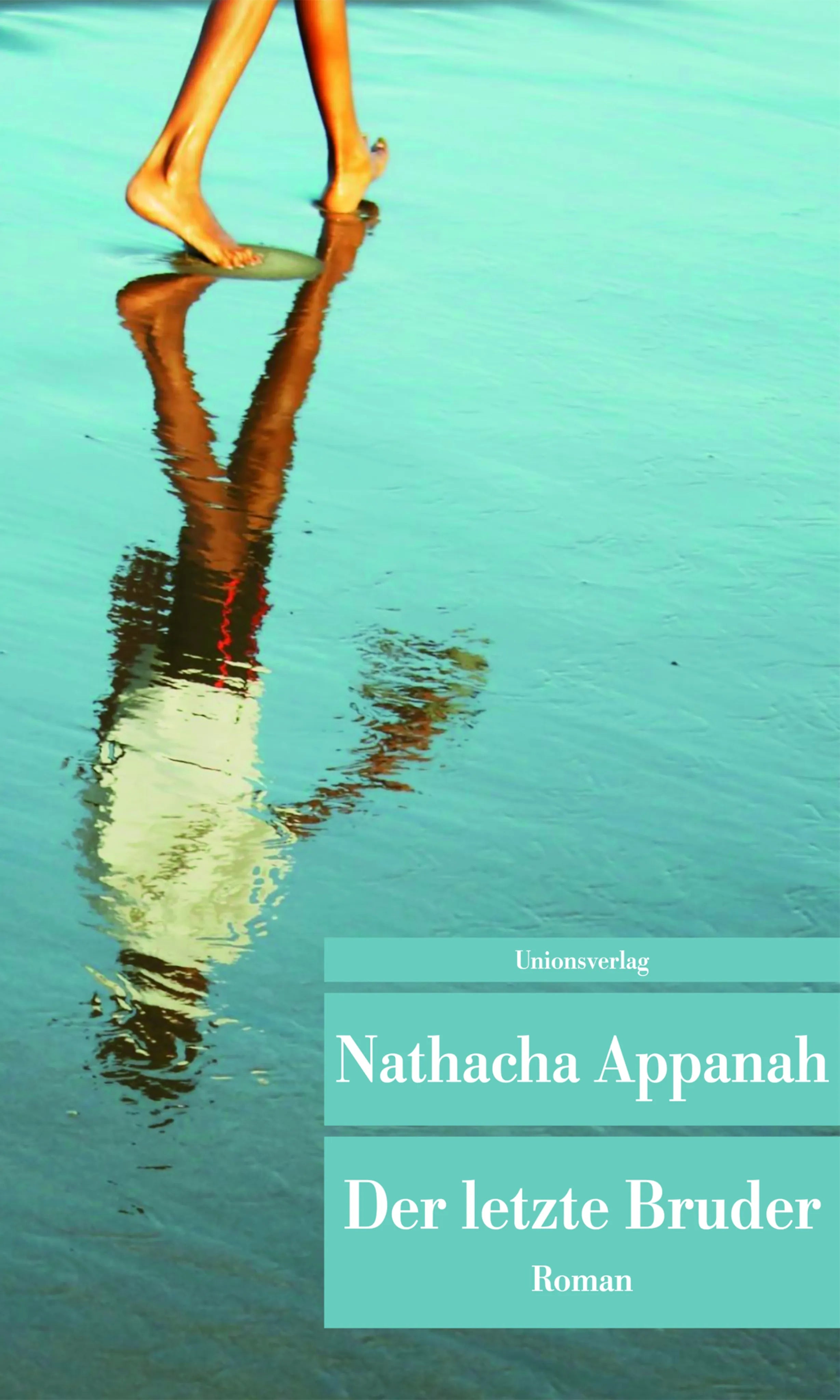 Buchcover von 'Der letzte Bruder' - Taschenbuch von Nathacha Appanah