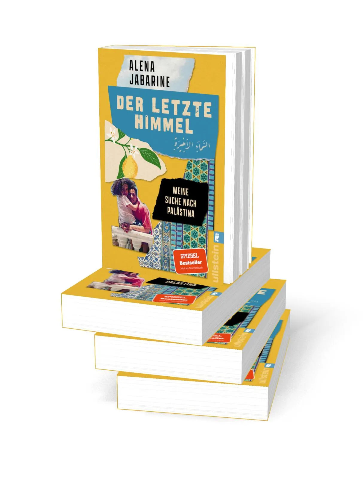 Detailansicht: Der letzte Himmel (Taschenbuch)