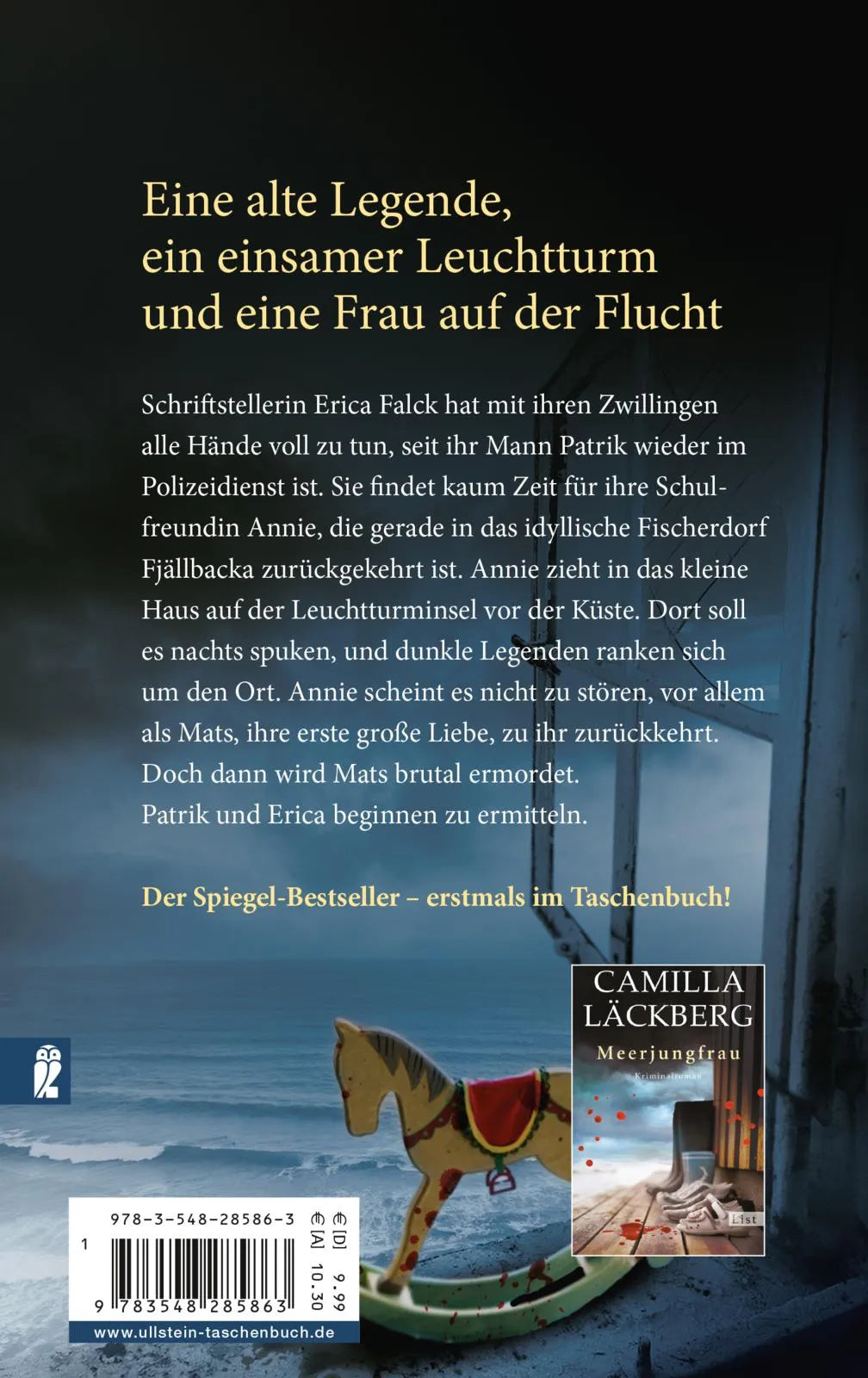Rückseite: Der Leuchtturmwärter (Taschenbuch)