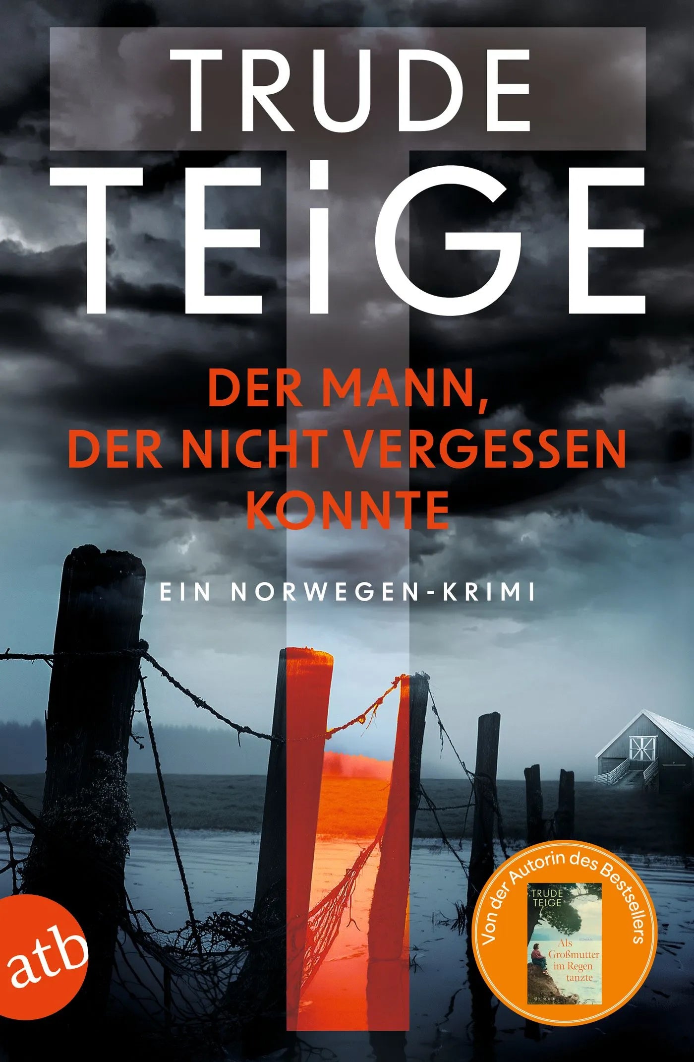Buchcover von 'Der Mann, der nicht vergessen konnte' - Taschenbuch von Trude Teige