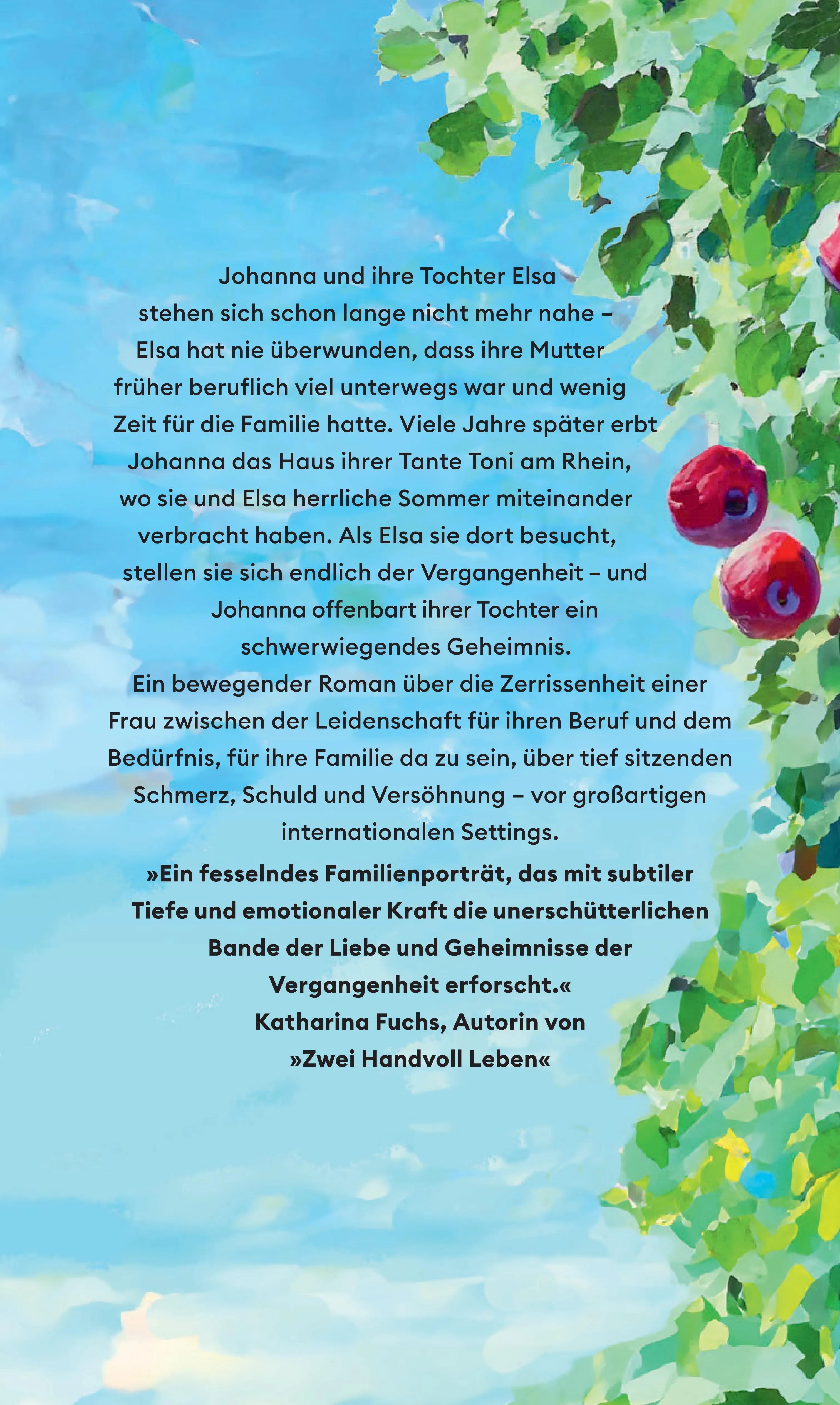 Buchrückseite von 'Der Morgen nach dem Regen' mit Klappentext - Gebundene Ausgabe