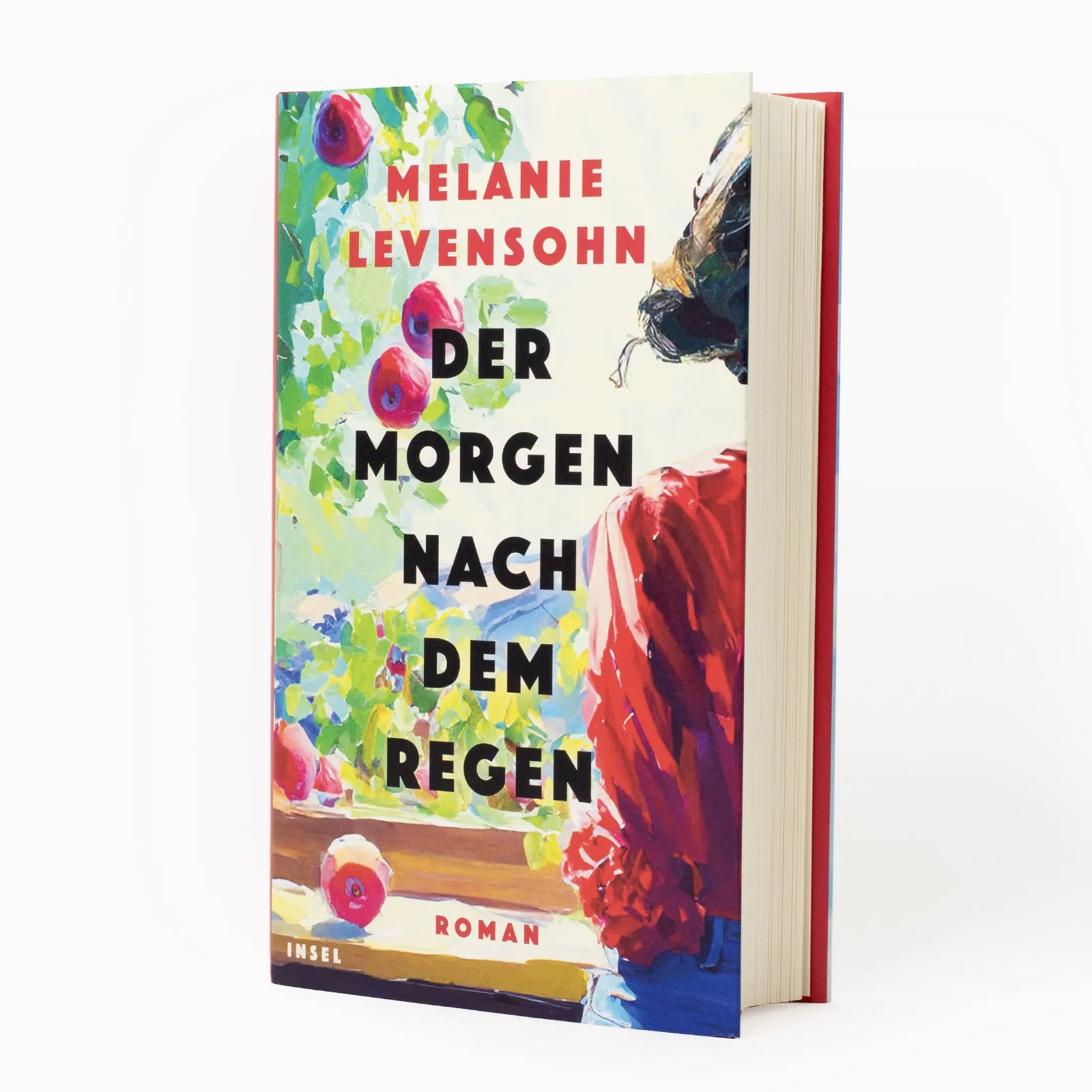 Produktansicht: Der Morgen nach dem Regen (Gebundene Ausgabe)