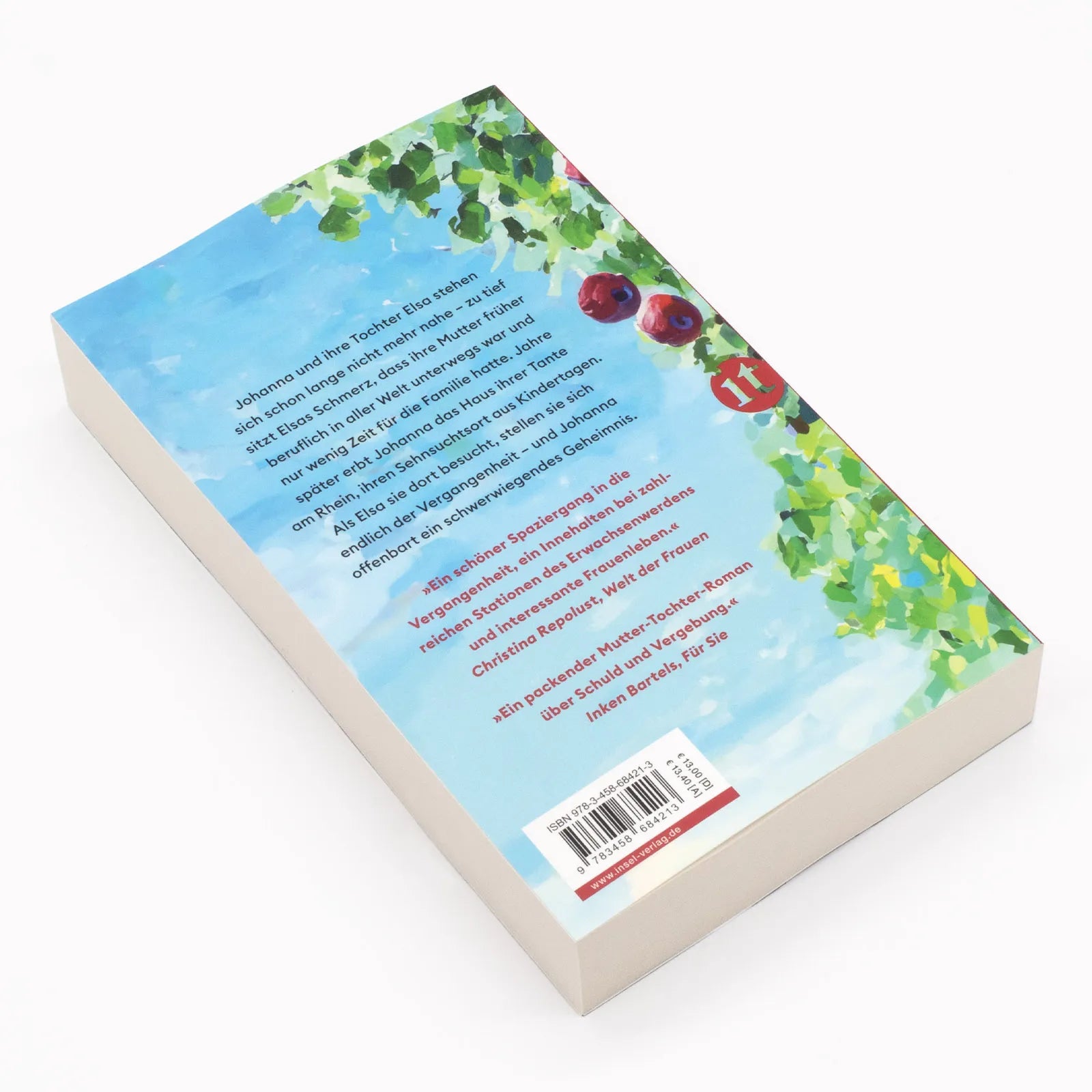 Detailansicht: Der Morgen nach dem Regen (Taschenbuch)