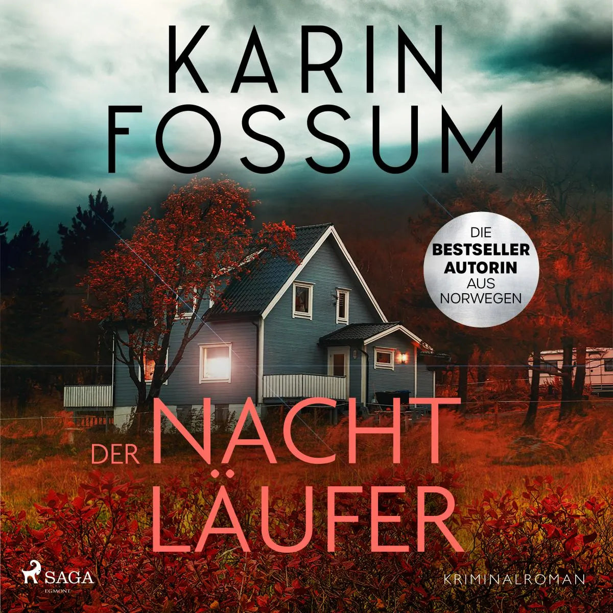 Cover: Der Nachtläufer (Hörbuch Download) von Karin Fossum