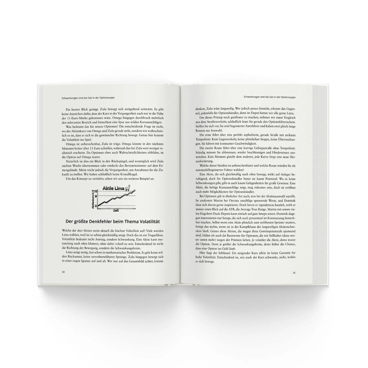 Detailansicht: Der Optionsführerschein (Taschenbuch)