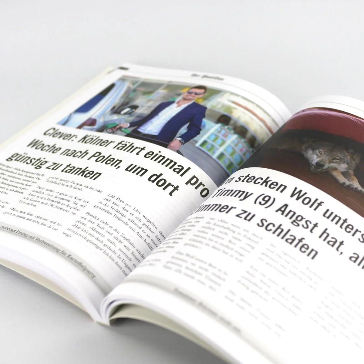 Detailansicht: Der Postillon (Taschenbuch)