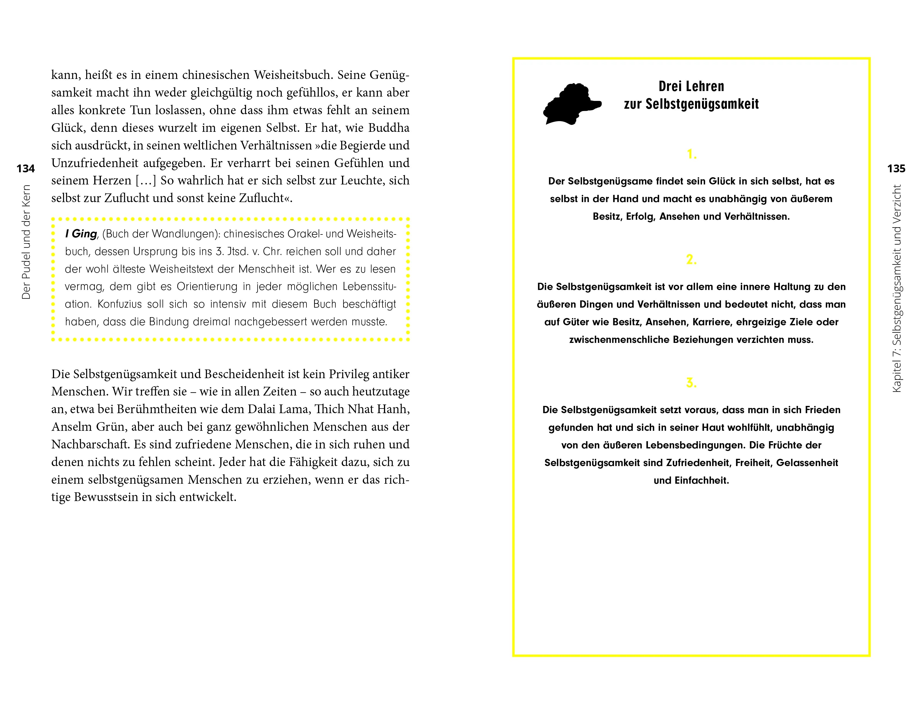 Innenansicht von 'Der Pudel und der Kern' - Taschenbuch