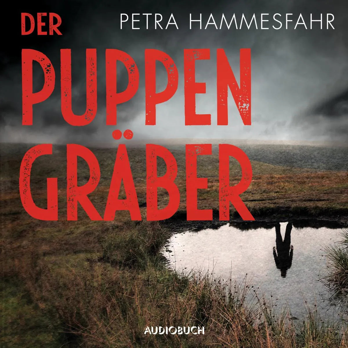 Cover: Der Puppengräber (Hörbuch Download) von Petra Hammesfahr