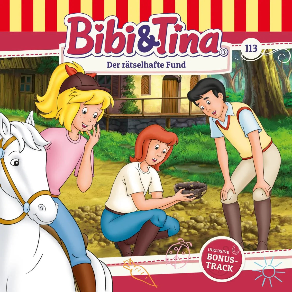 Cover: Der rätselhafte Fund (Hörbuch Download) von Dirk Petrick