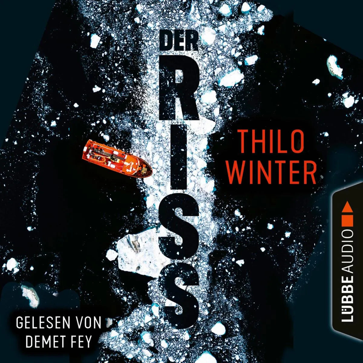 Cover: Der Riss (Hörbuch Download) von Thilo Winter