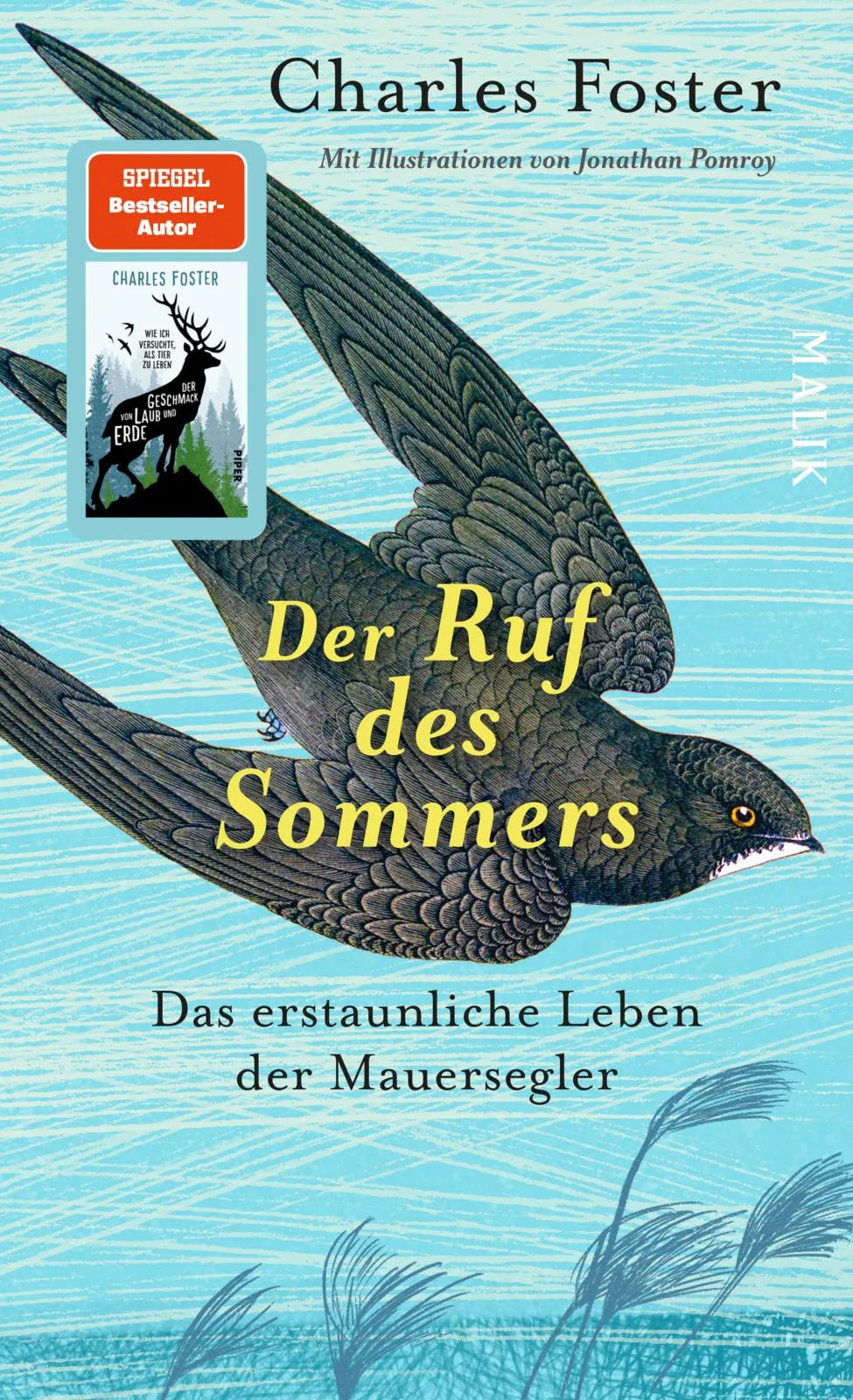 Buchcover von 'Der Ruf des Sommers' - Gebundene Ausgabe von Charles Foster