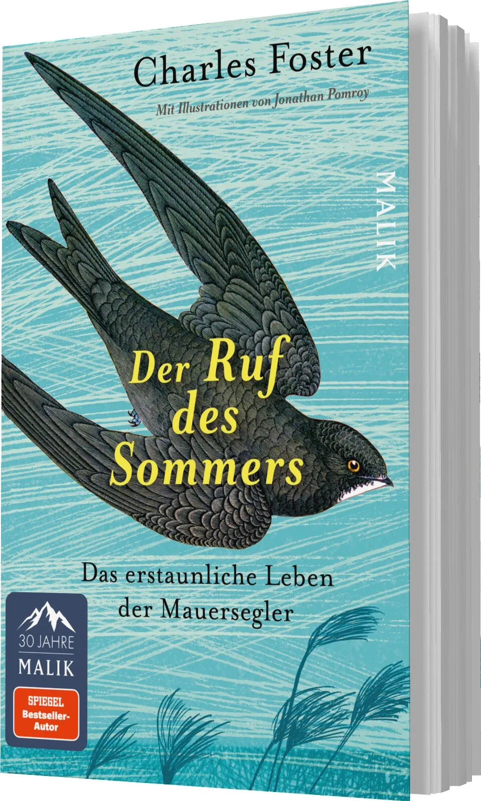 Charles Foster - Der Ruf des Sommers