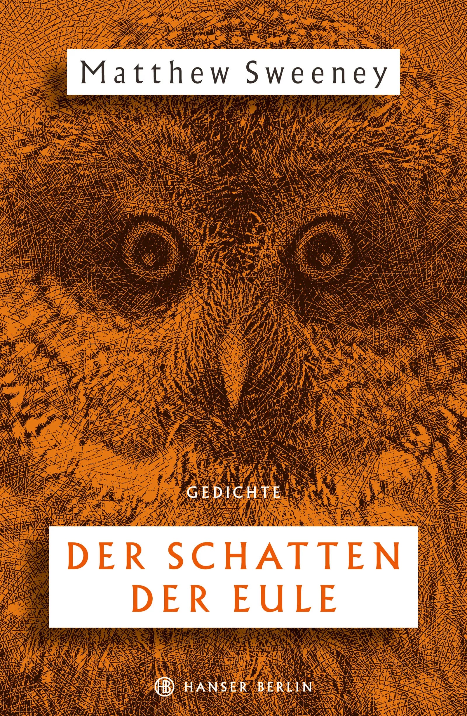 Buchcover von 'Der Schatten der Eule' - Gebundene Ausgabe von Matthew Sweeney