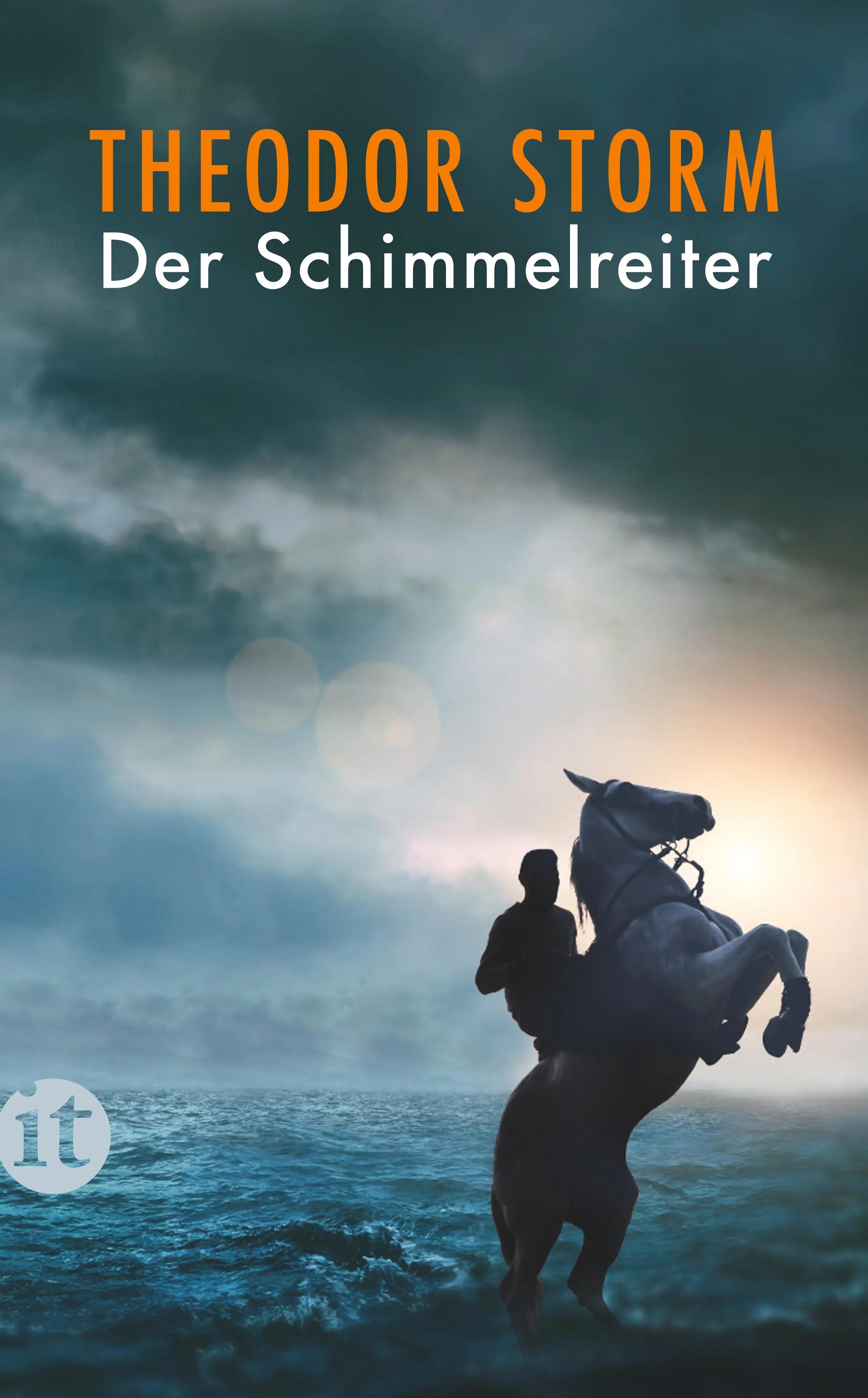 Buchcover von 'Der Schimmelreiter' - Taschenbuch von Theodor Storm