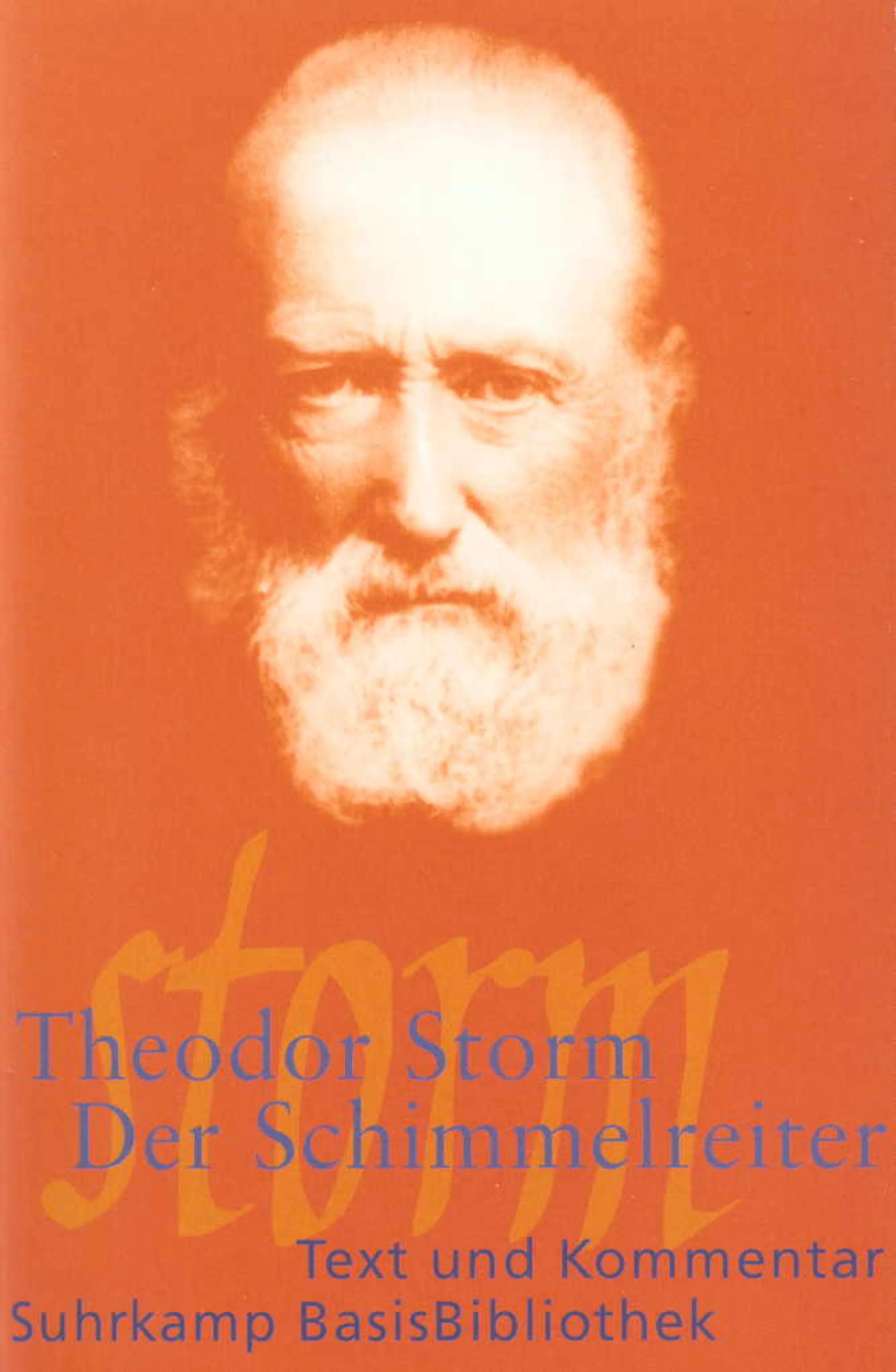 Buchcover von 'Der Schimmelreiter' - Taschenbuch von Theodor Storm