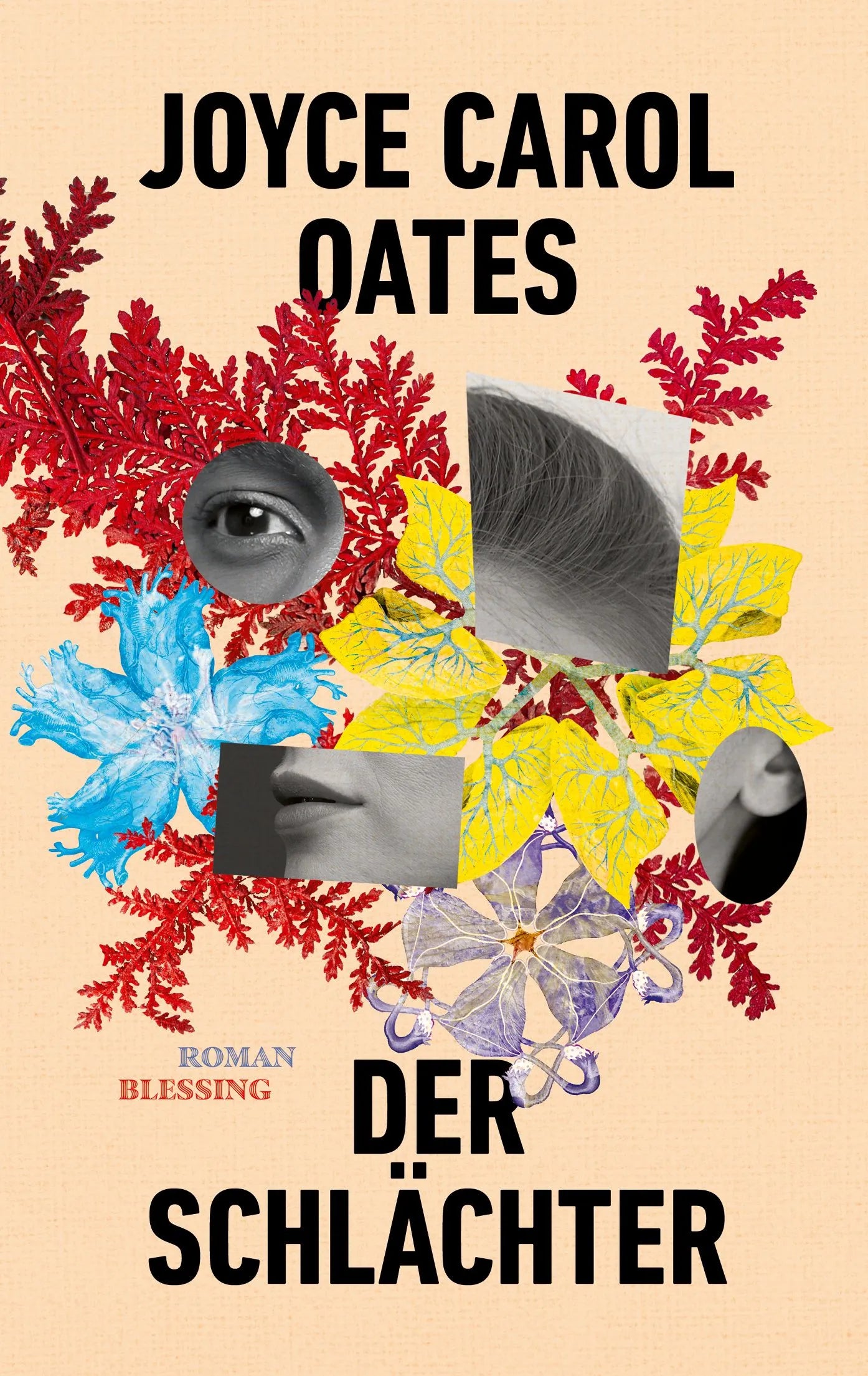 Cover: Der Schlächter (Taschenbuch) von Joyce Carol Oates