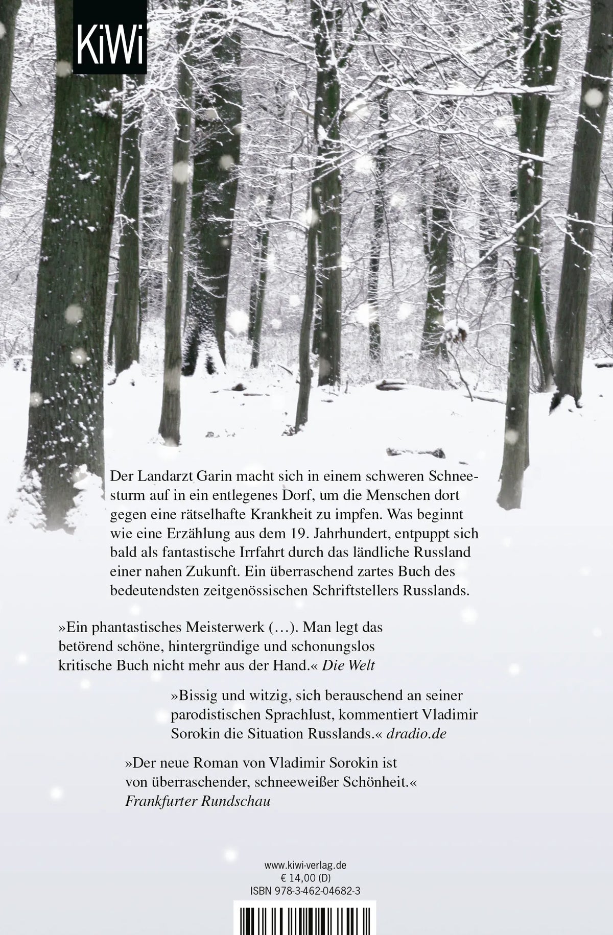 Buchrückseite von 'Der Schneesturm' mit Klappentext - Taschenbuch