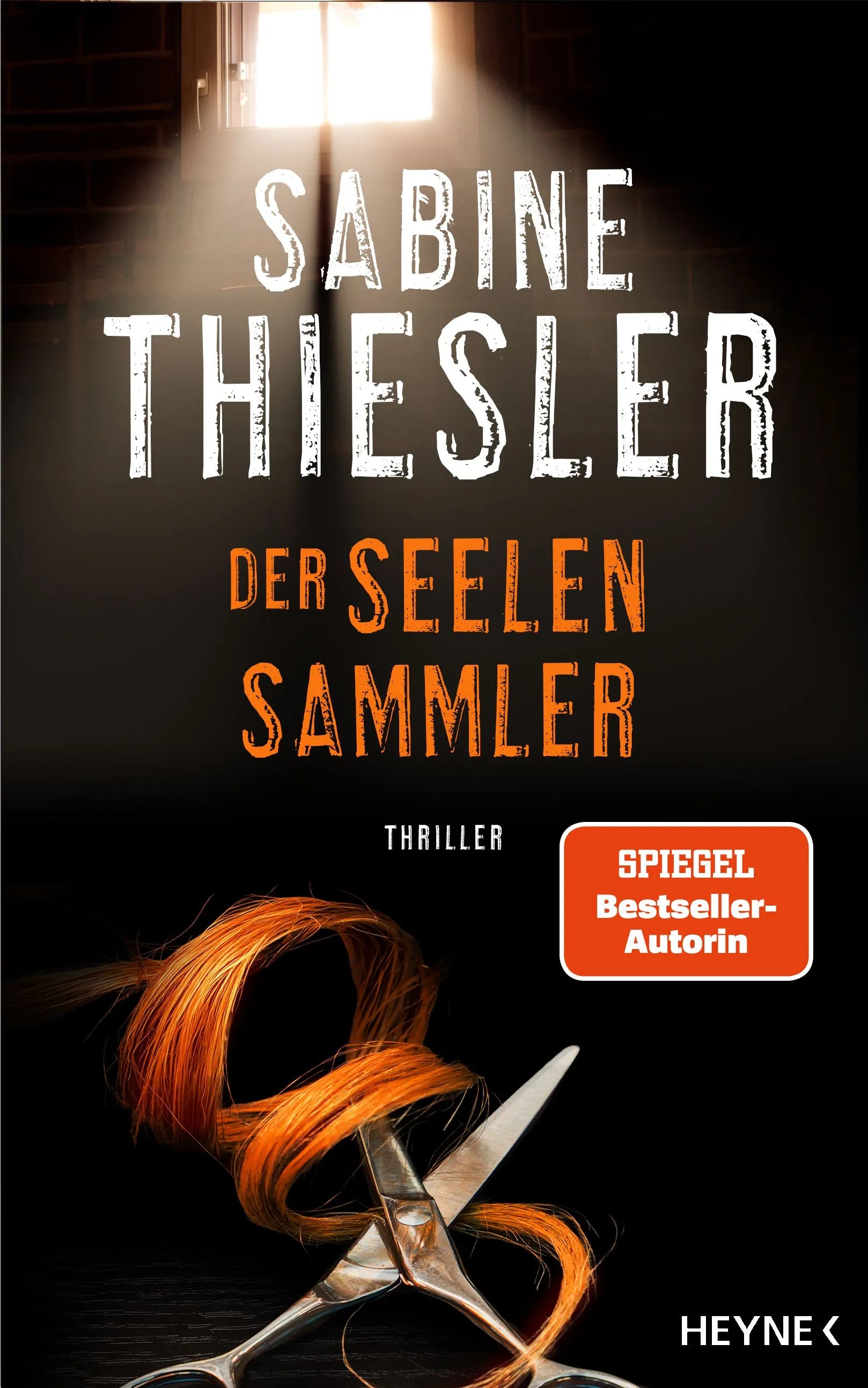 Cover: Der Seelensammler (Hardcover) von Sabine Thiesler