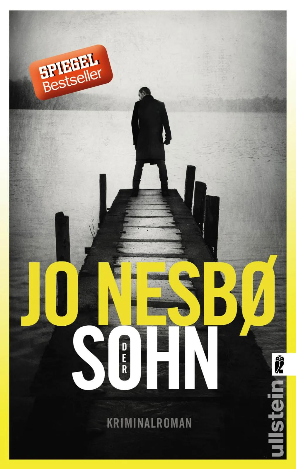 Produktansicht: Der Sohn (Taschenbuch)