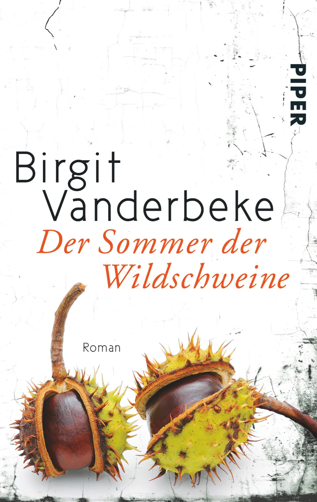 Buchcover von 'Der Sommer der Wildschweine' - Taschenbuch von Birgit Vanderbeke