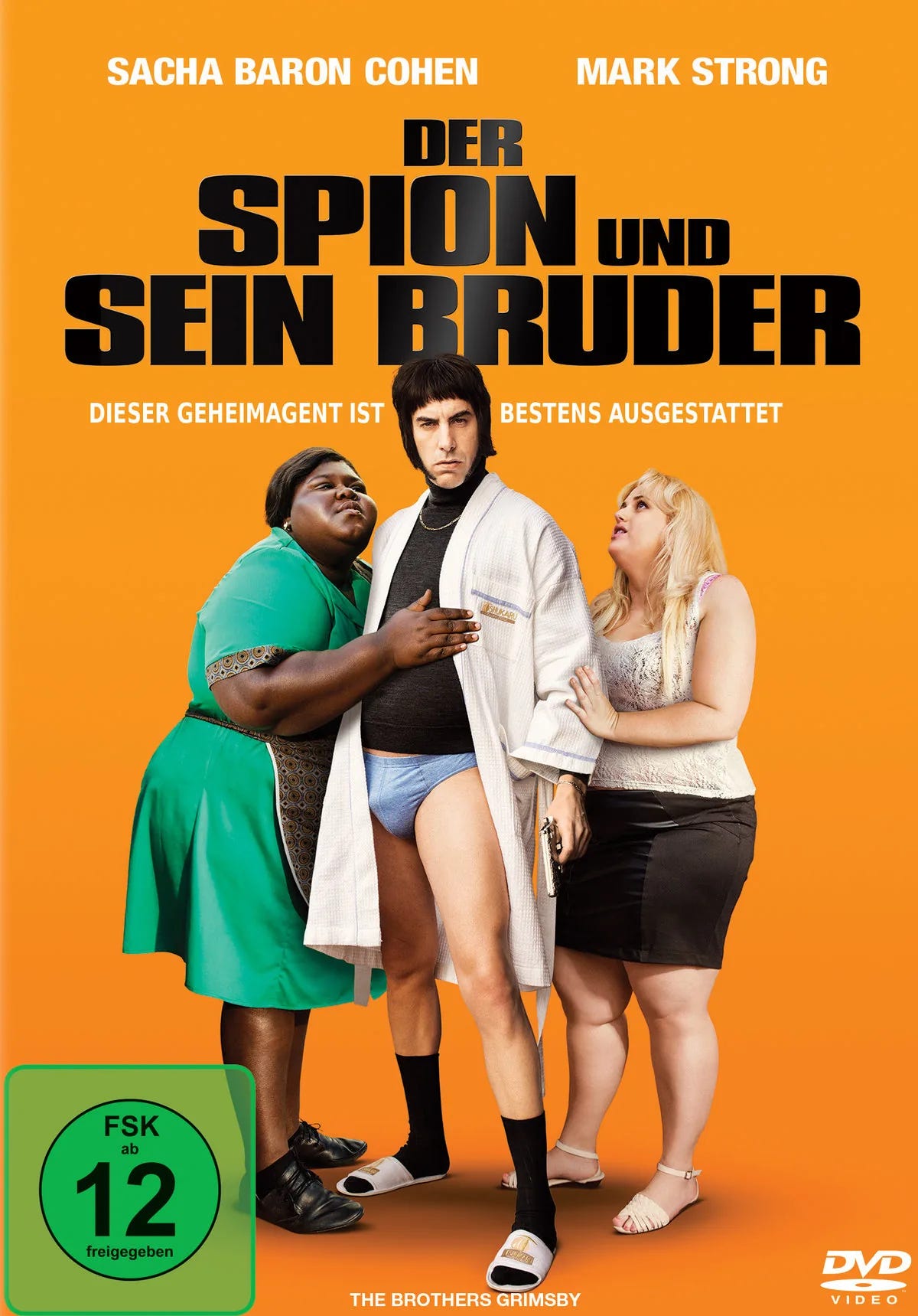 Der Spion und sein Bruder - DVD
