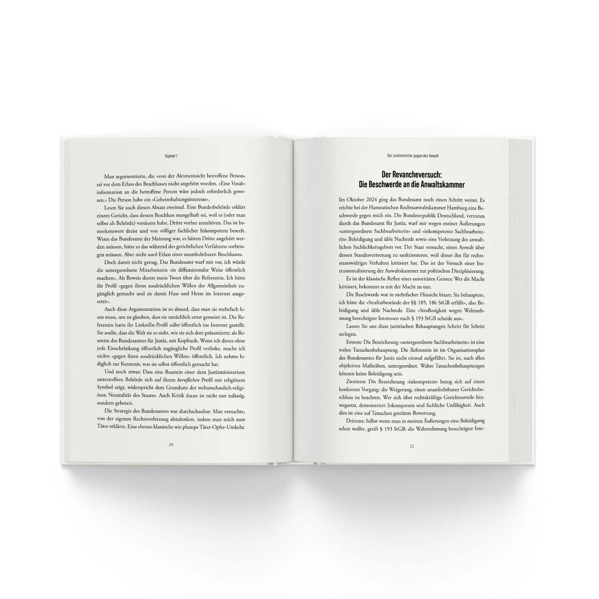Detailansicht: Der Staat gegen Steinhöfel (Taschenbuch)