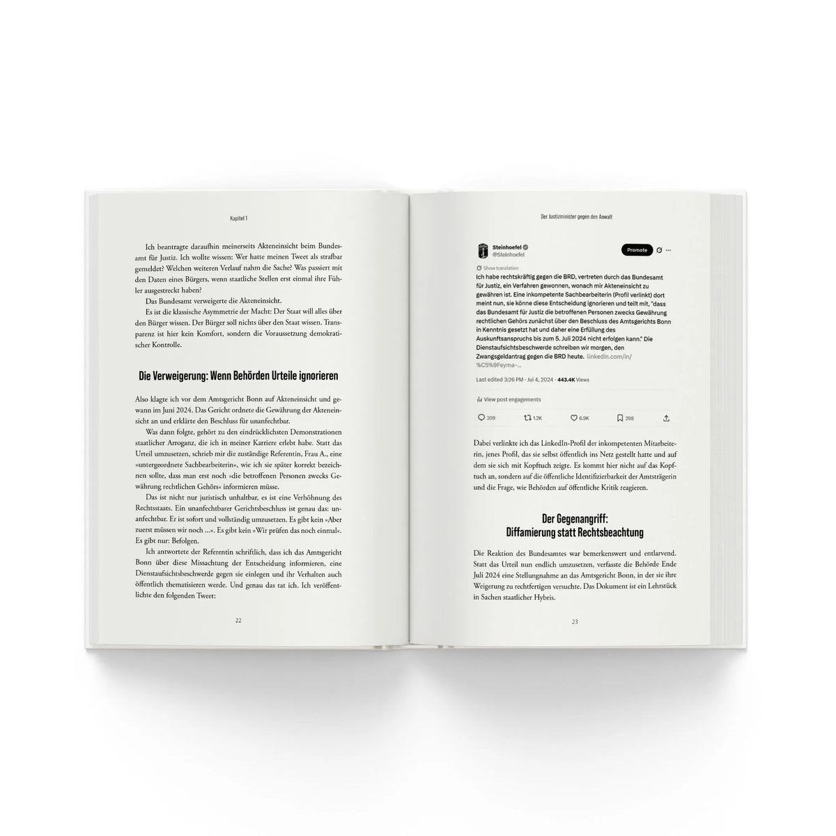 Detailansicht: Der Staat gegen Steinhöfel (Taschenbuch)