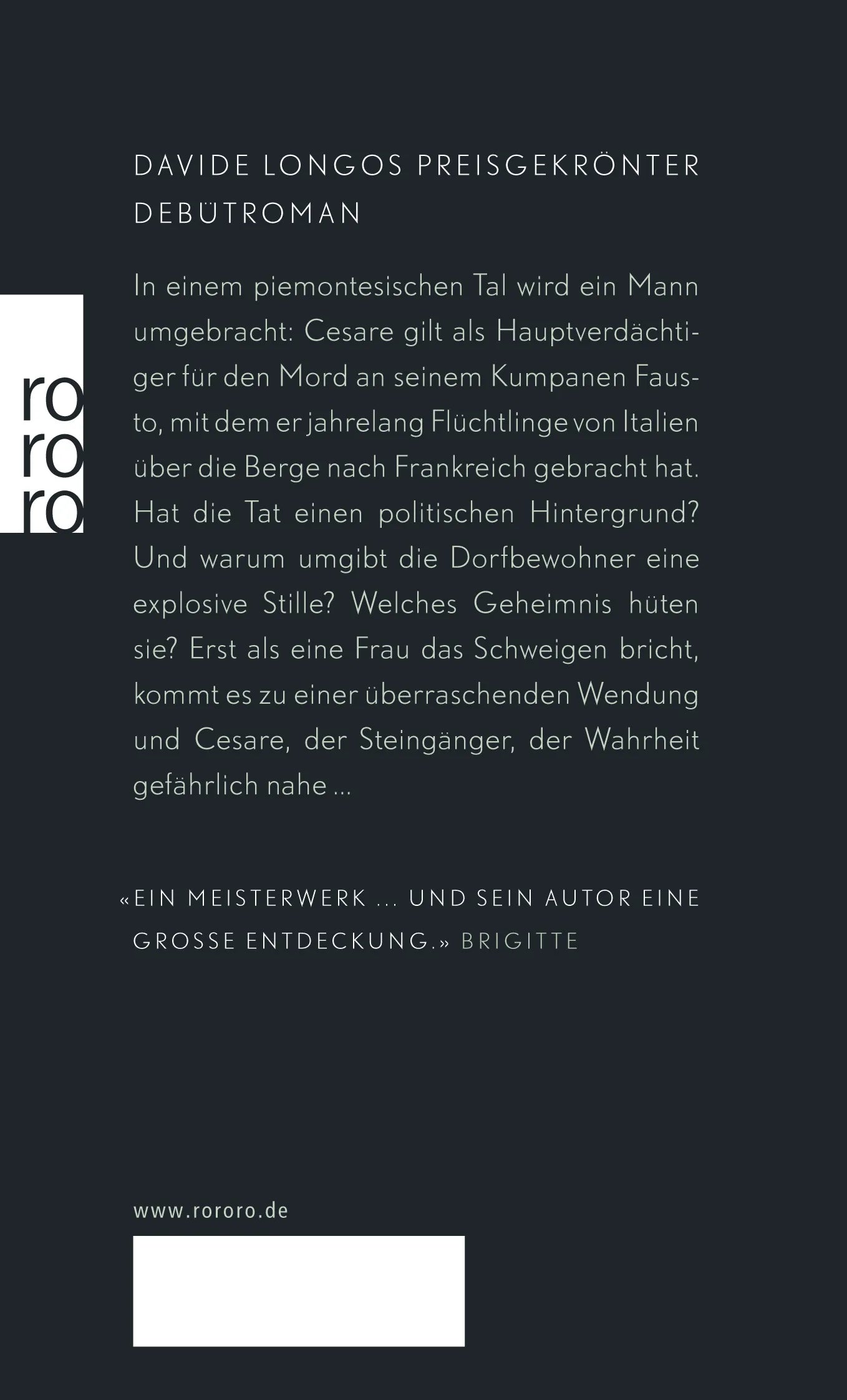 Buchrückseite von 'Der Steingänger' mit Klappentext - Taschenbuch