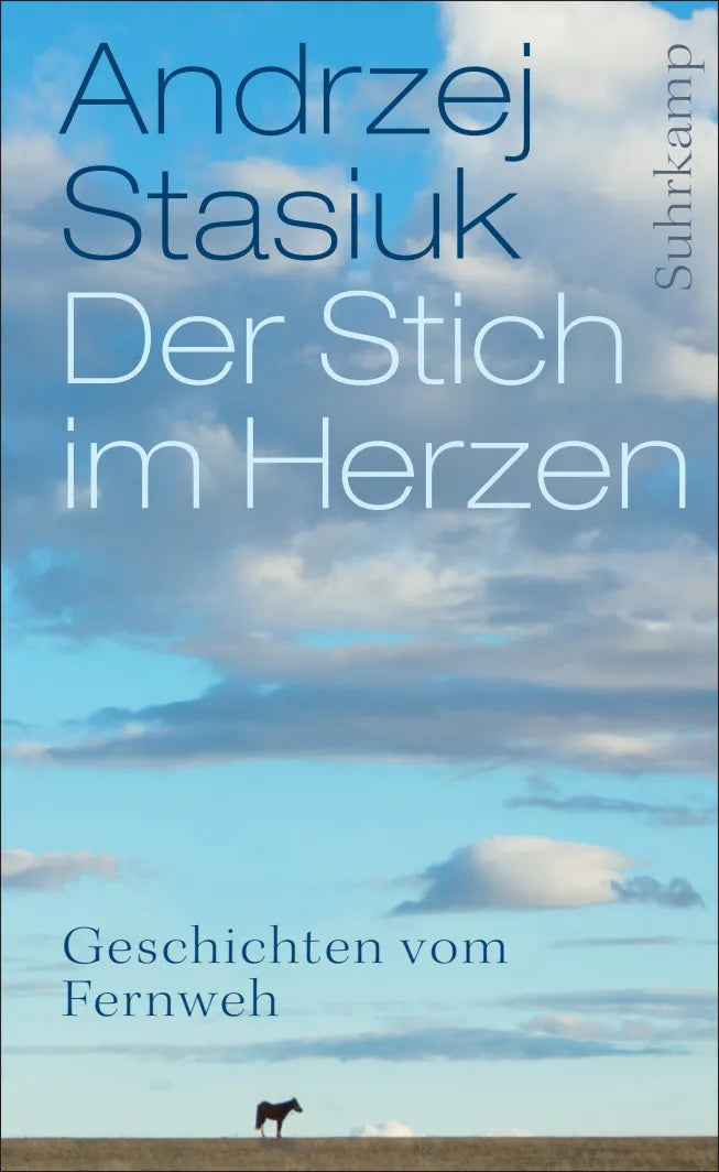 Buchcover von 'Der Stich im Herzen' - Gebundene Ausgabe von Andrzej Stasiuk