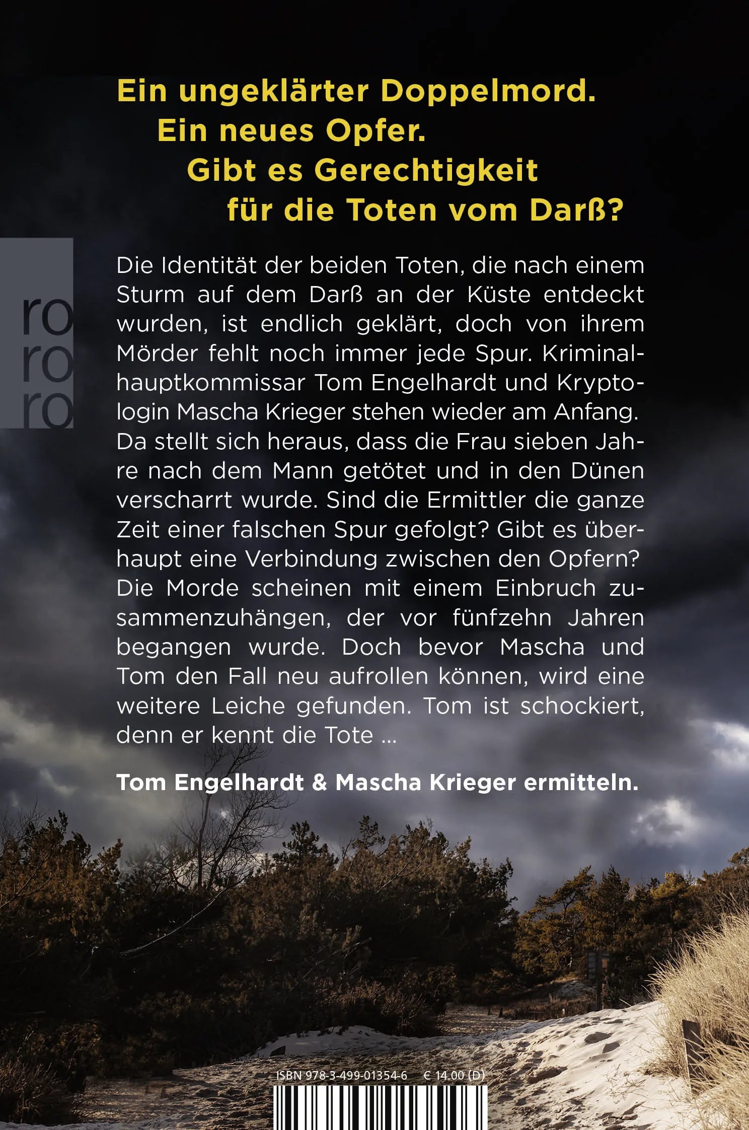 Buchrückseite von 'Der Sturm: Vernichtet' mit Klappentext - Taschenbuch