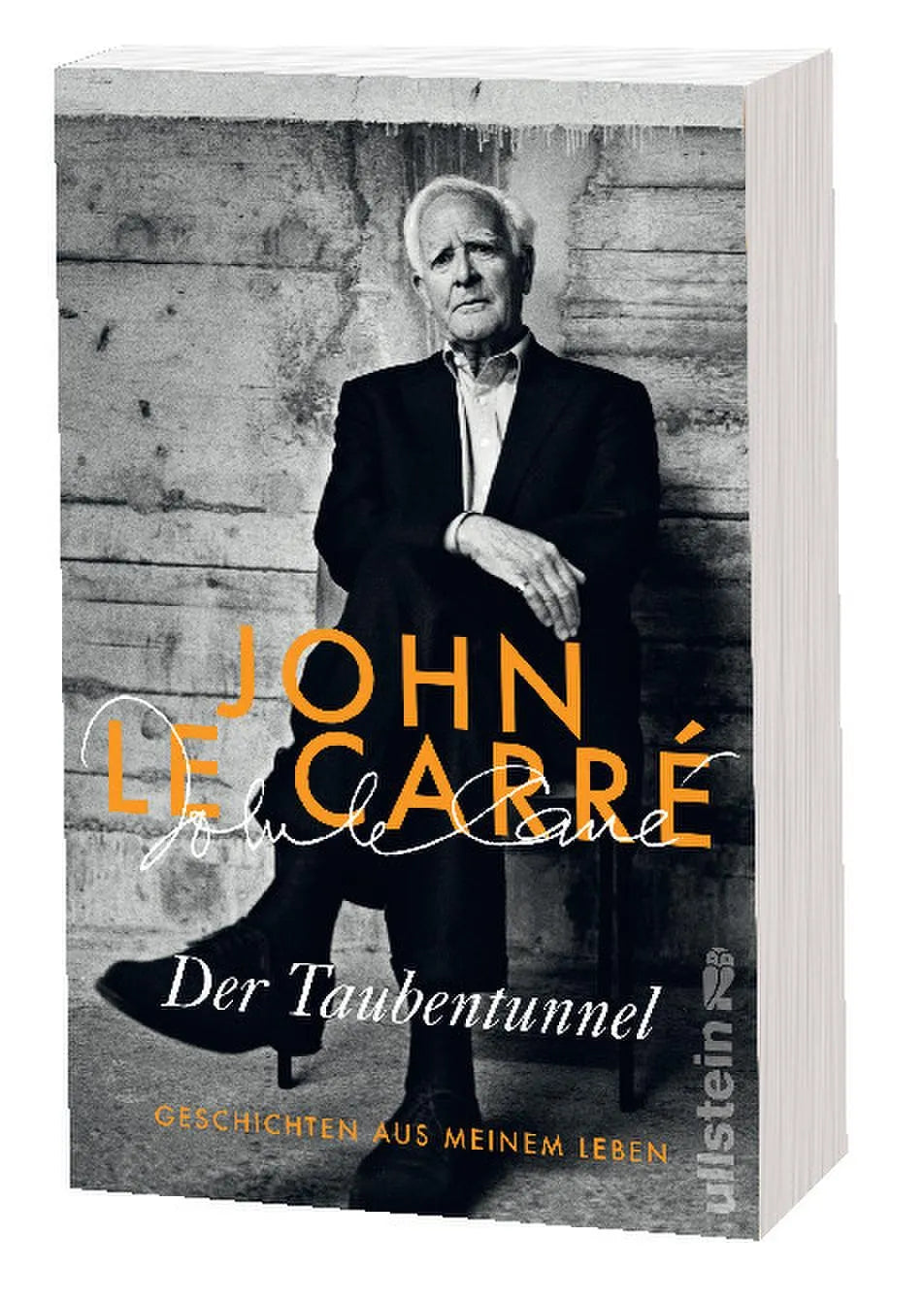 Abbildung von 'Der Taubentunnel'