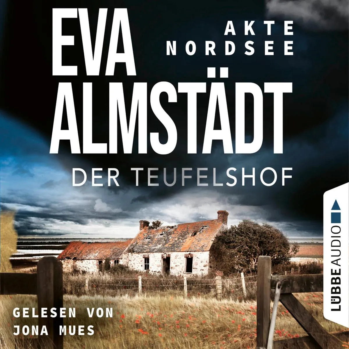 Cover: Der Teufelshof (Hörbuch Download) von Eva Almstädt