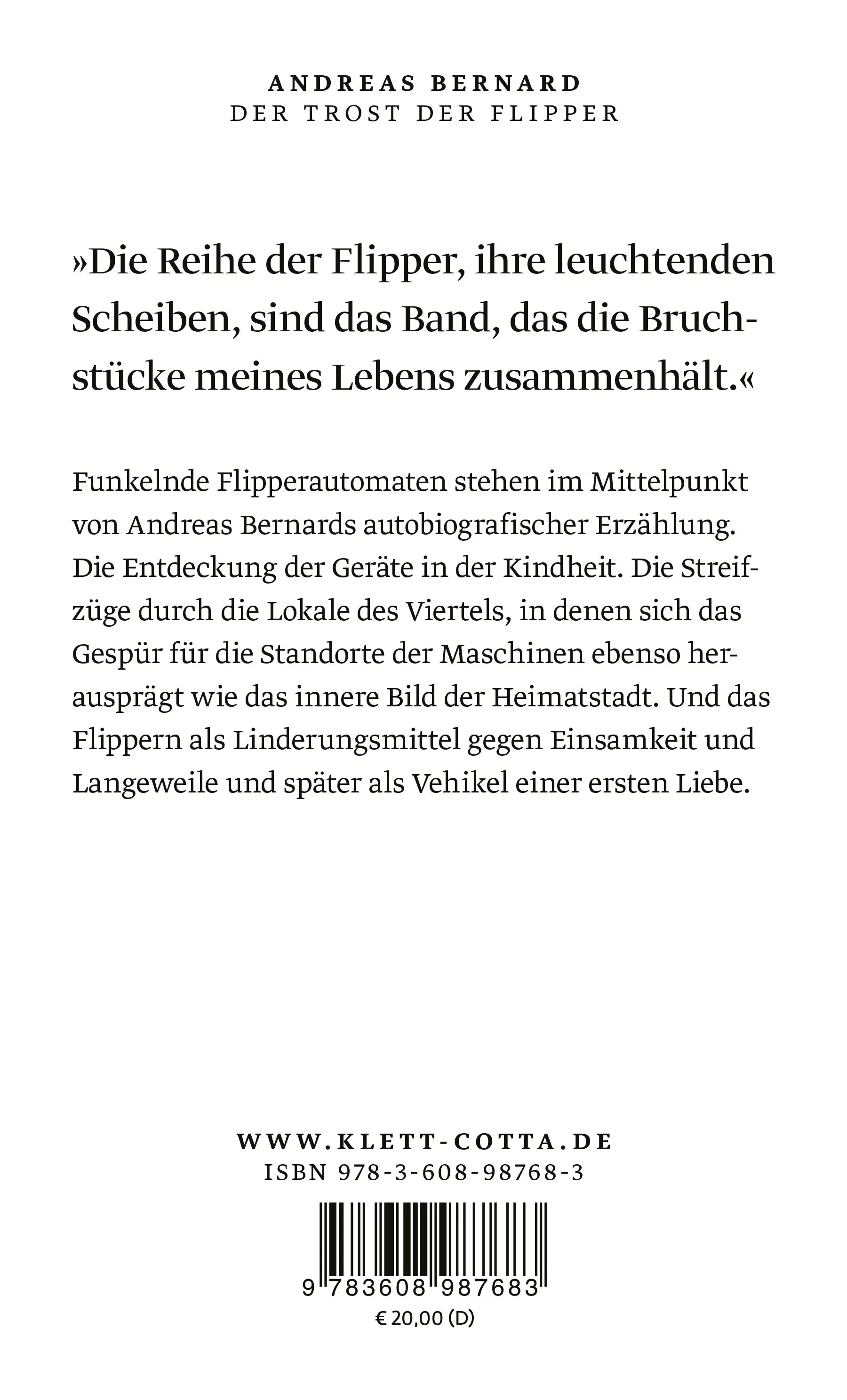 Buchrückseite von 'Der Trost der Flipper' mit Klappentext - Gebundene Ausgabe