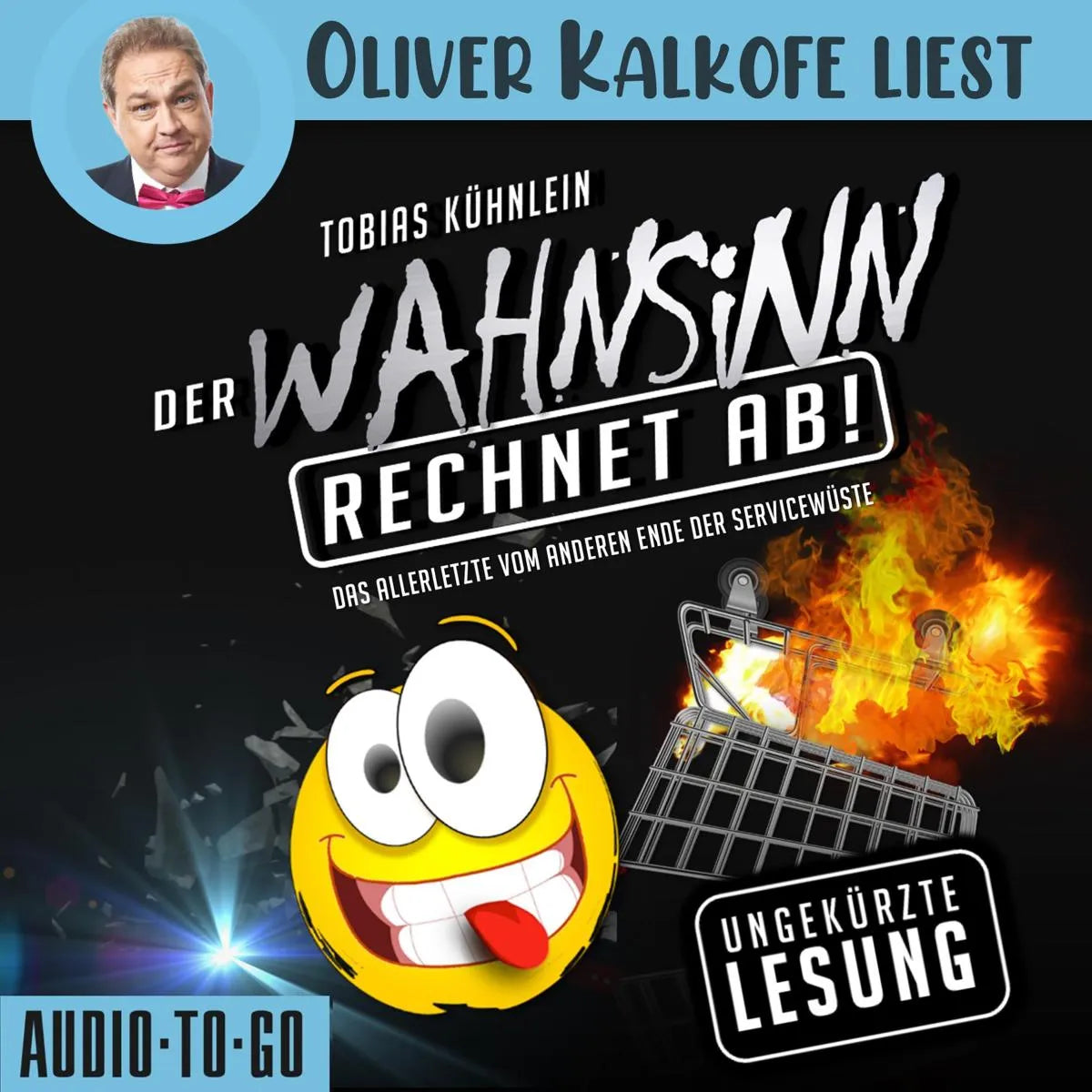 Cover: Der Wahnsinn rechnet ab! (Hörbuch Download) von Tobias Kühnlein