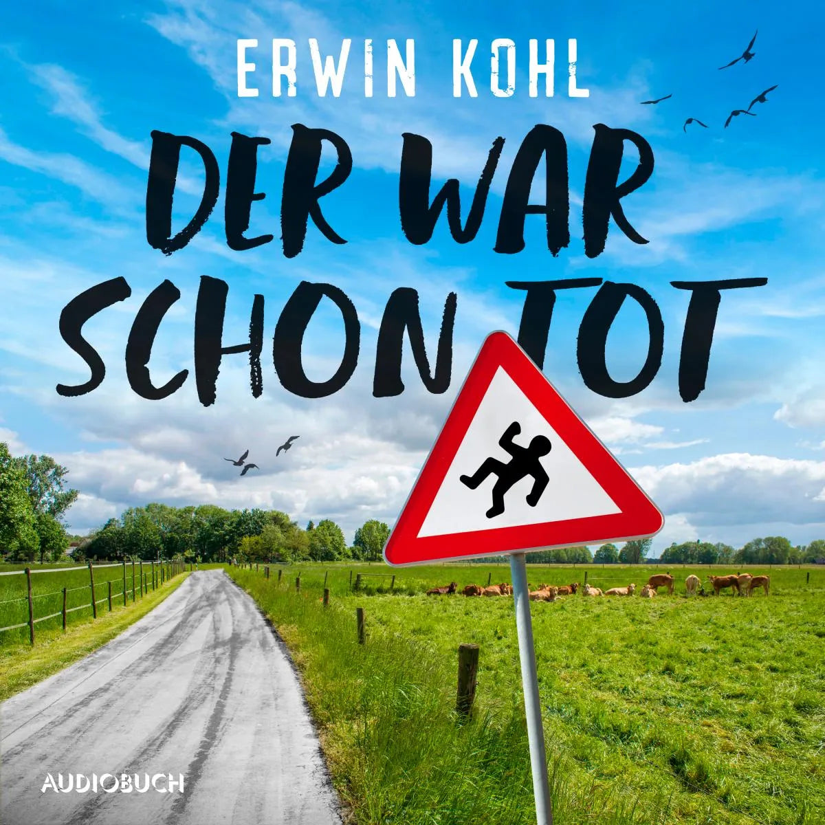Cover: Der war schon tot (Hörbuch Download) von Erwin Kohl
