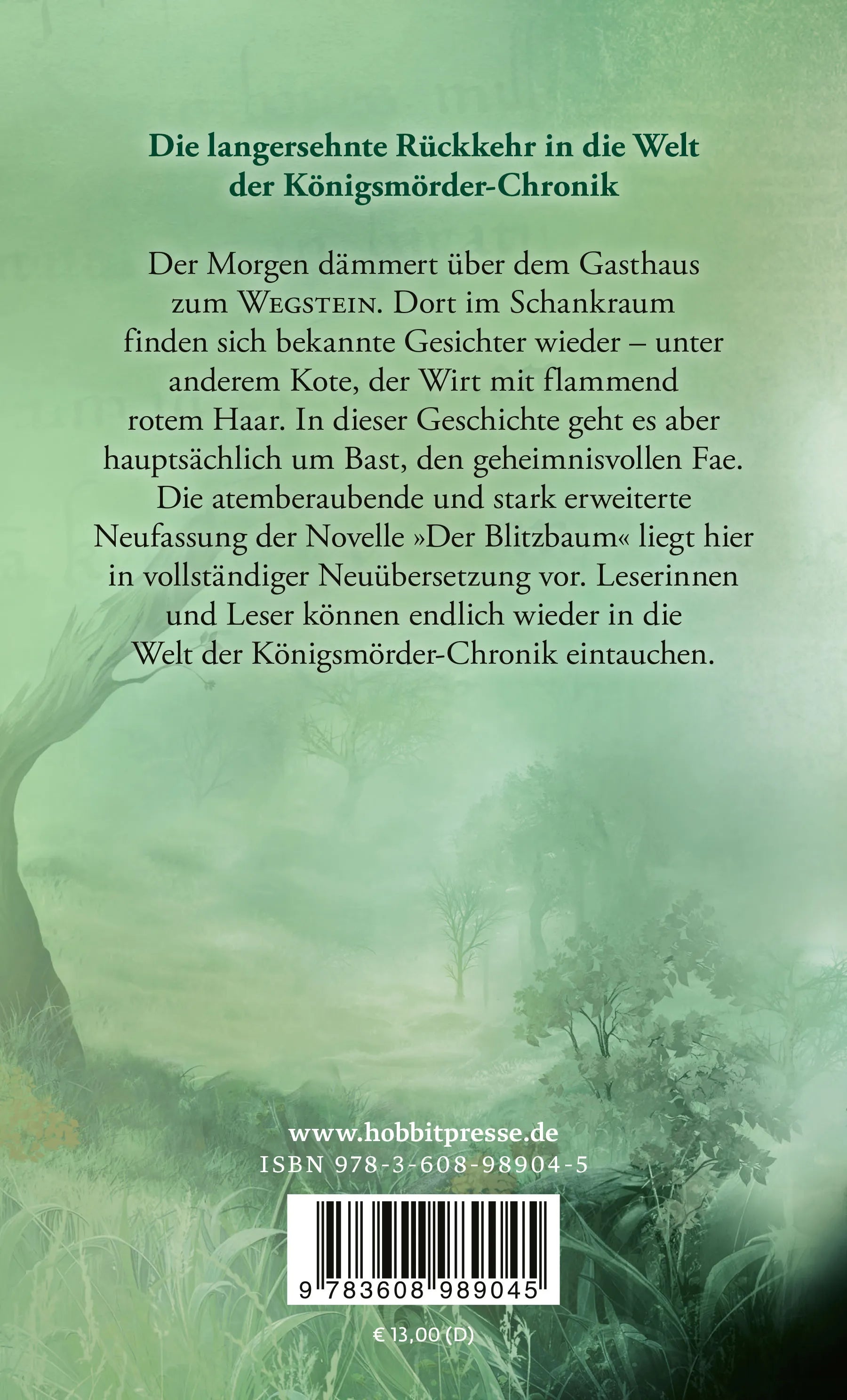 Buchrückseite von 'Der Weg der Wünsche' mit Klappentext - Taschenbuch