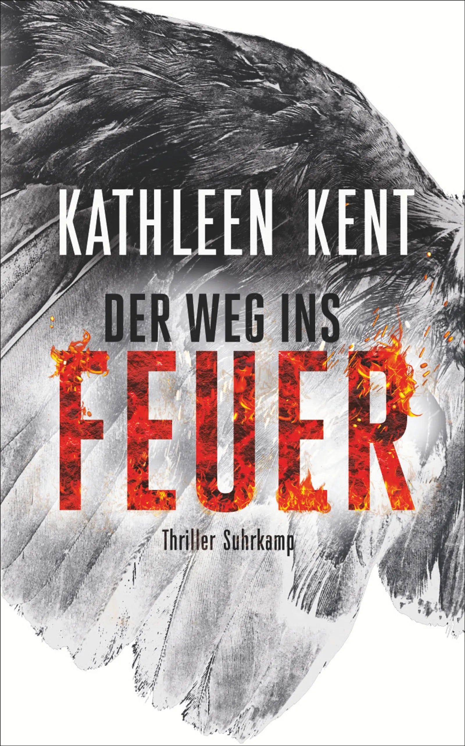 Cover: Der Weg ins Feuer (E-Book) von Kathleen Kent