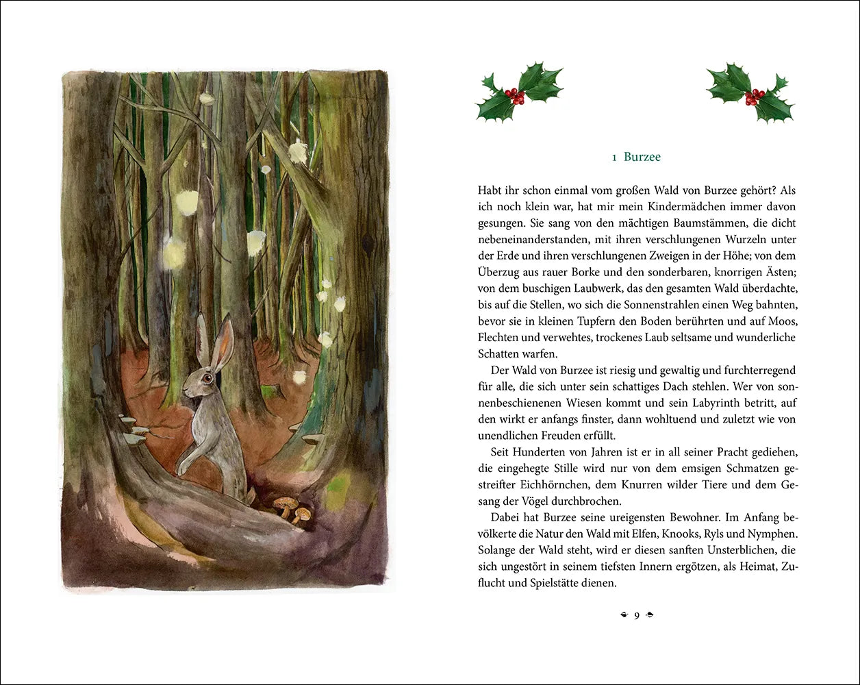 Produktansicht: Der Weihnachtsmann (Gebundene Ausgabe)