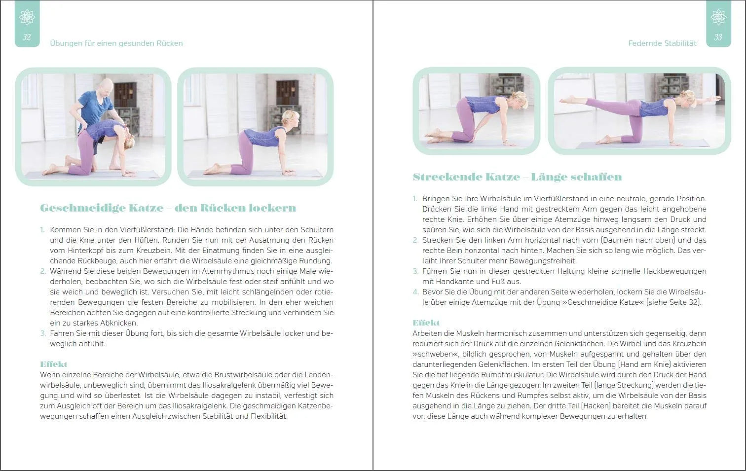 Innenansicht von 'Der Yoga-Doc' - Taschenbuch