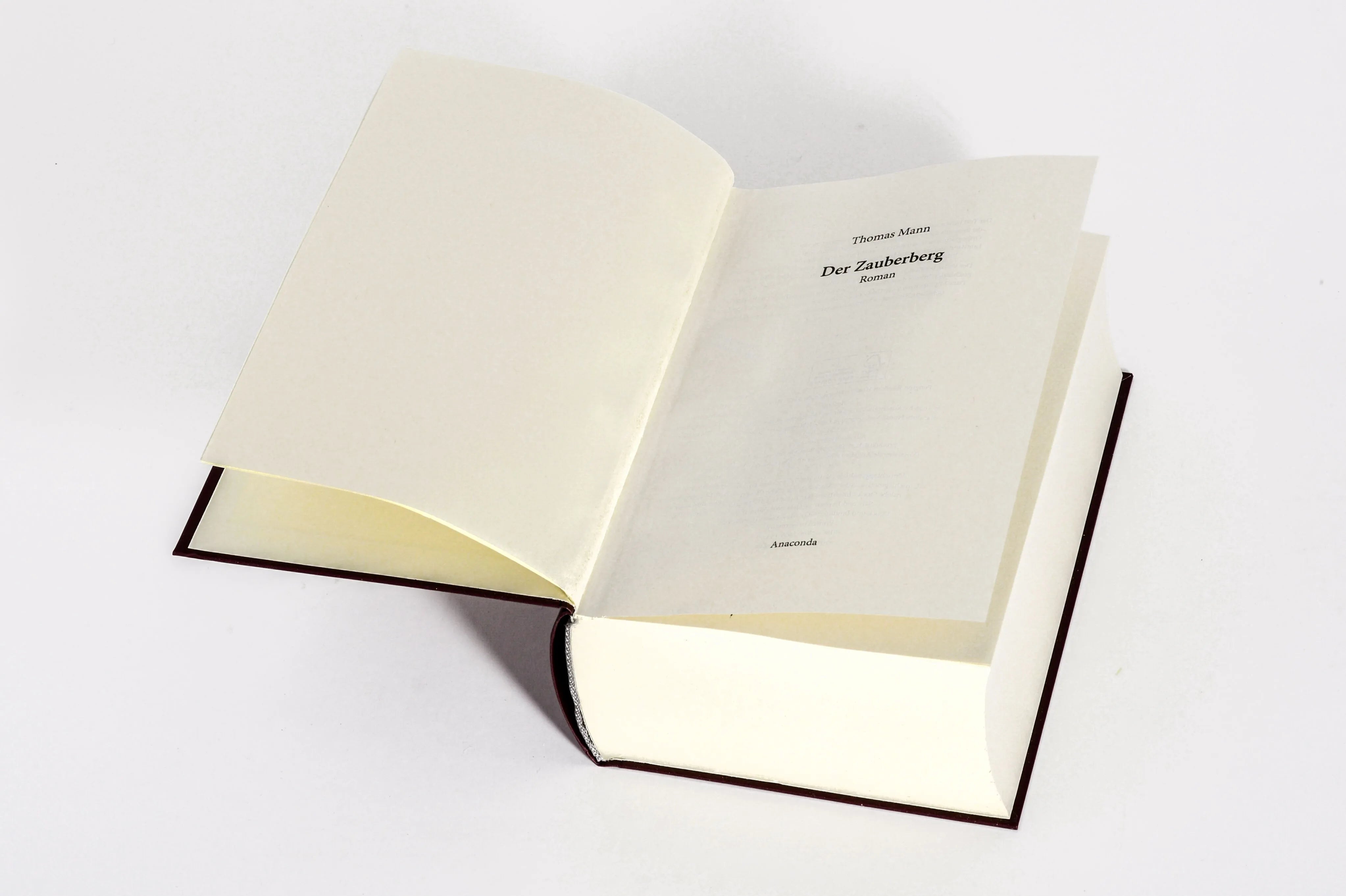Detailansicht: Der Zauberberg. Roman (Hardcover)