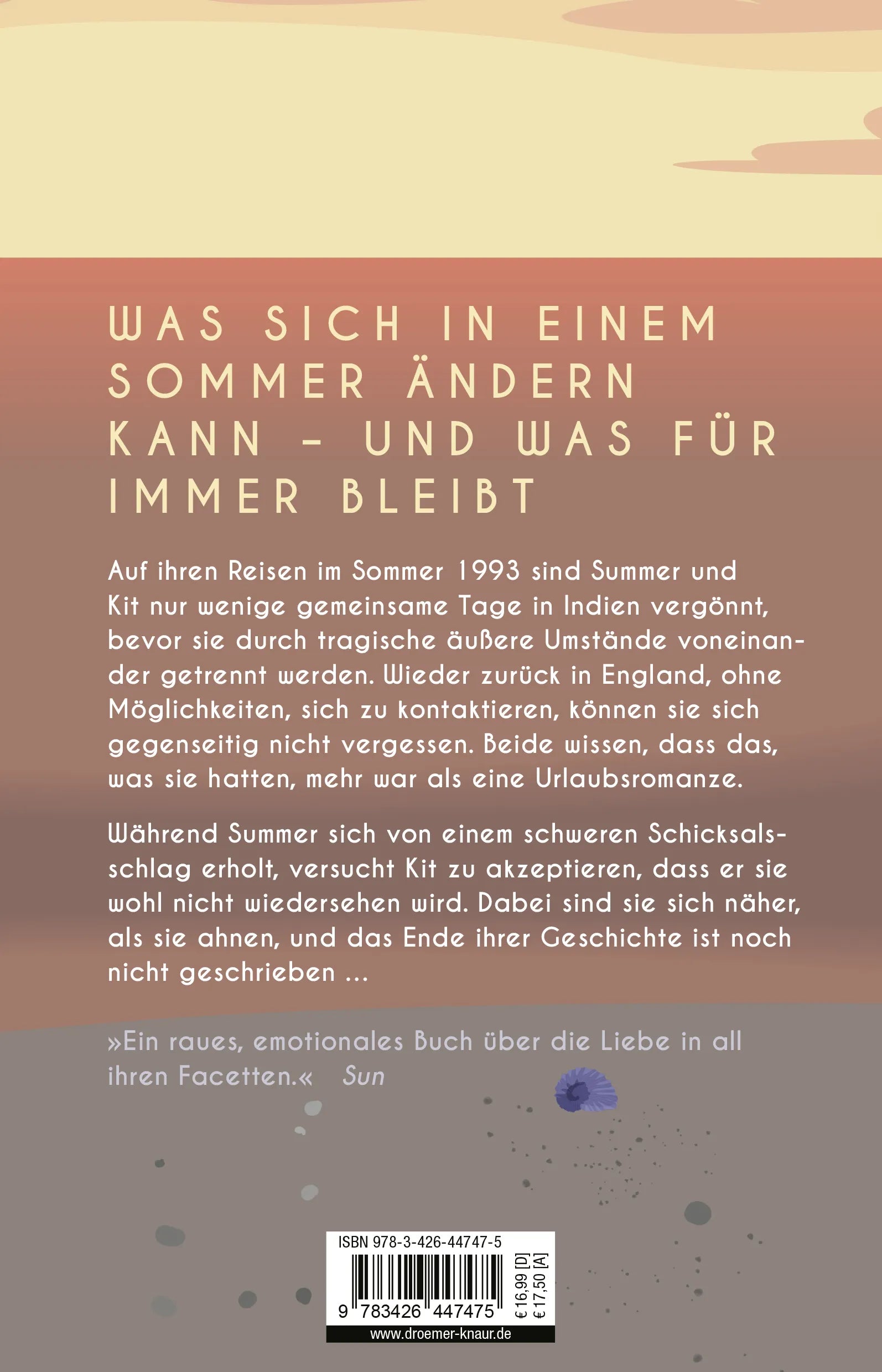 Buchrückseite von 'Der Zufall eines Sommers' mit Klappentext - Paperback